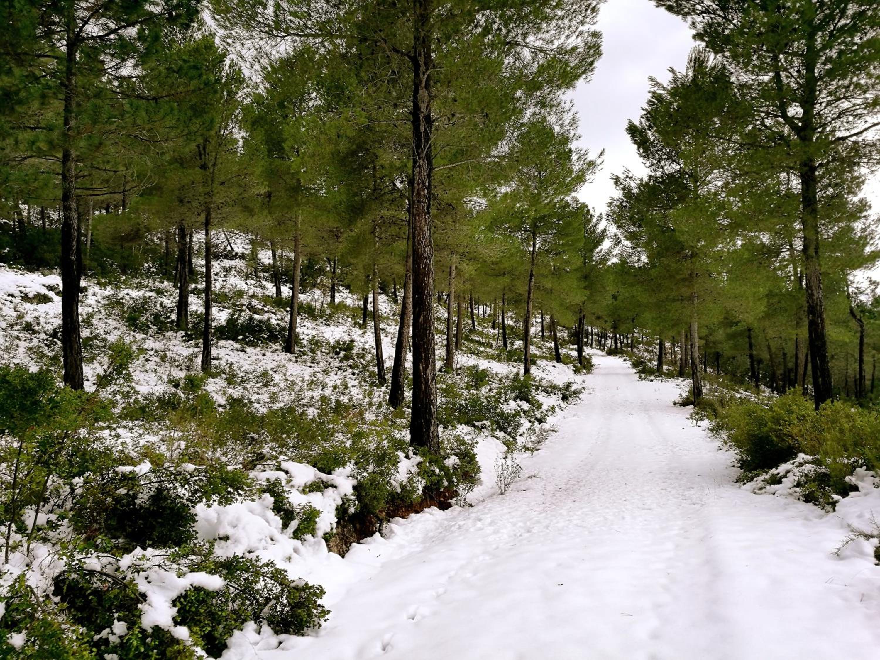 Finca La Celada
