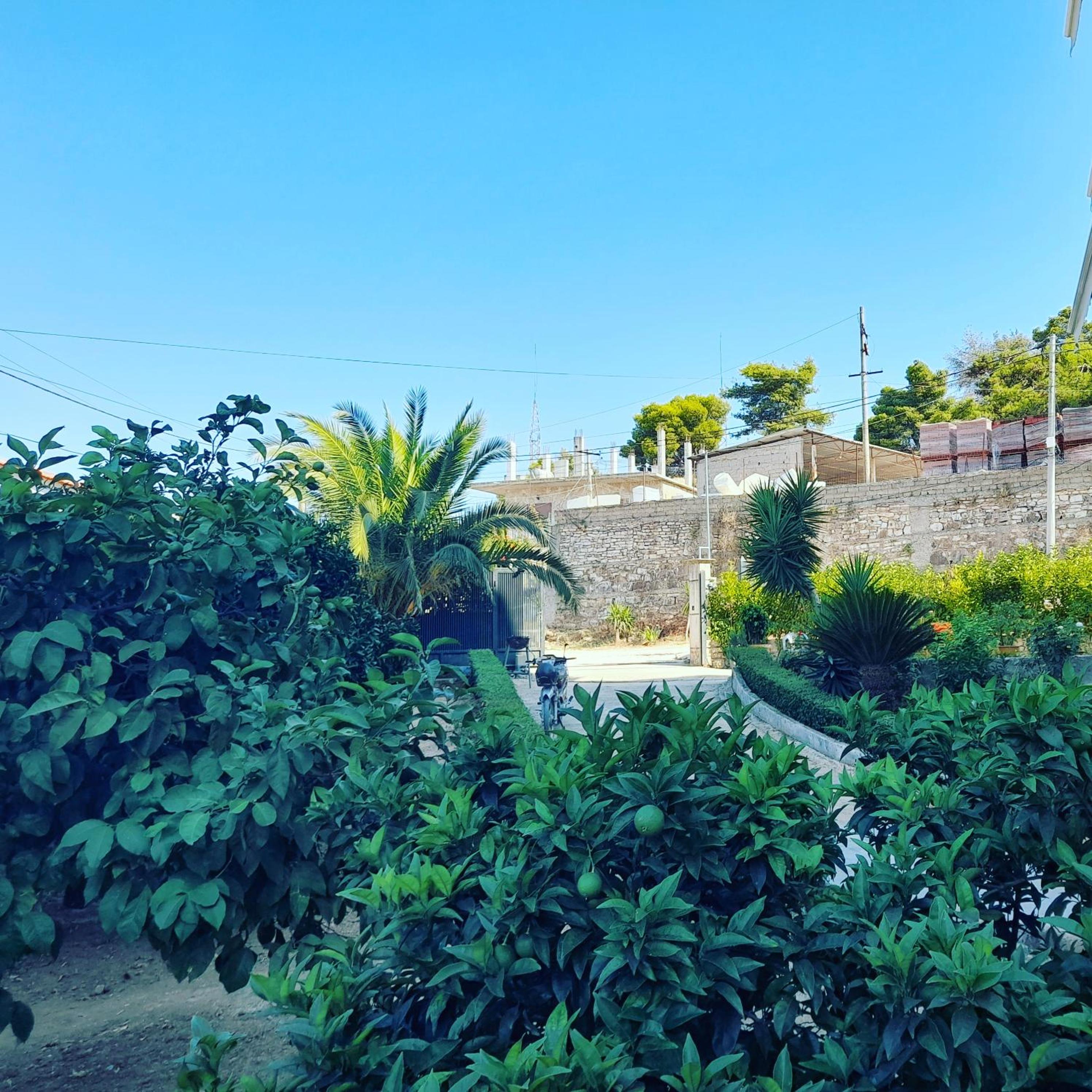 Vila Marjana