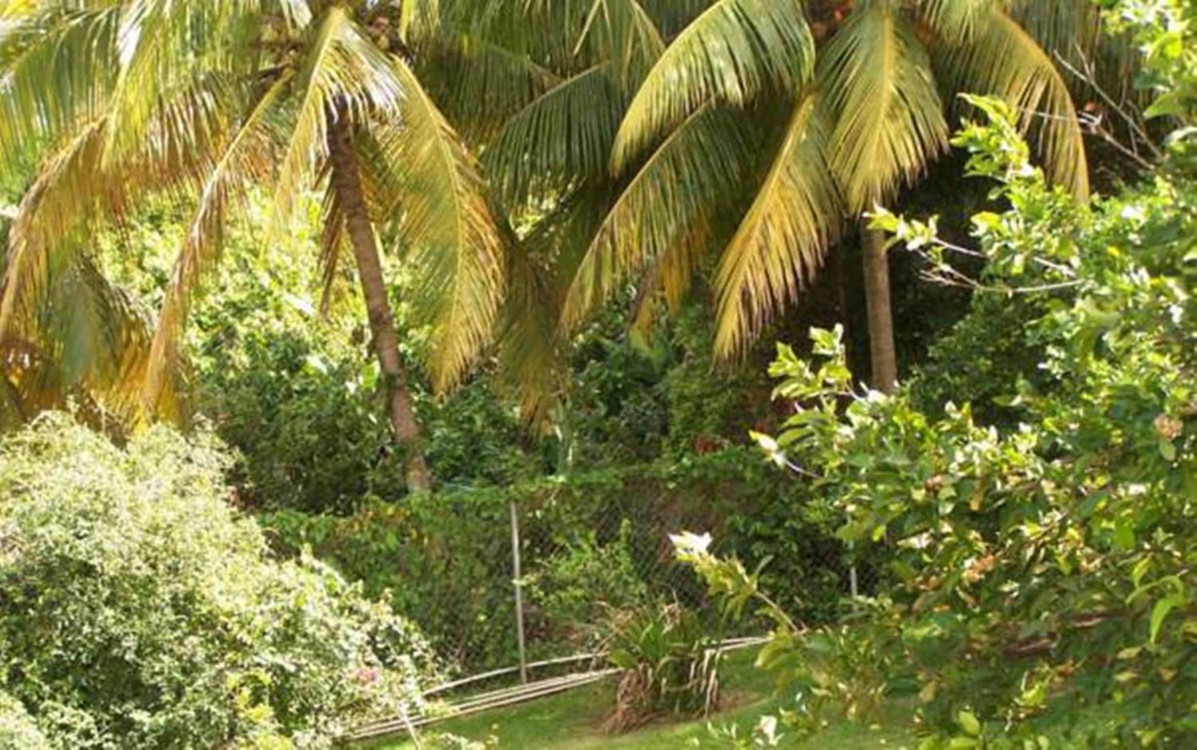RNM The Clubhouse, Grenada