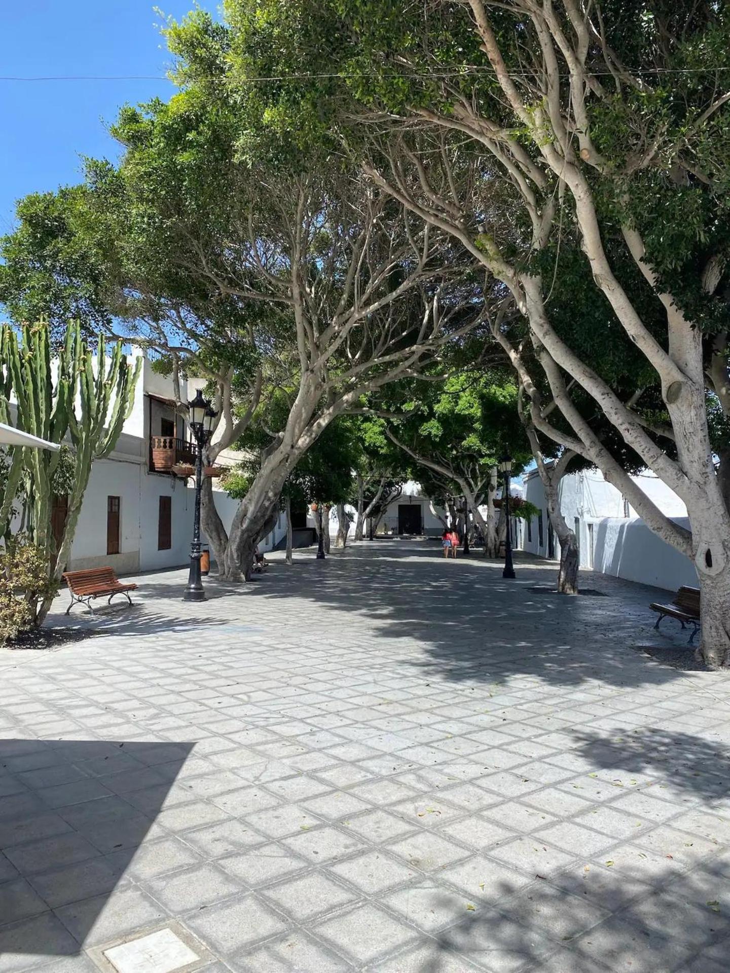 Las Nieves Suites