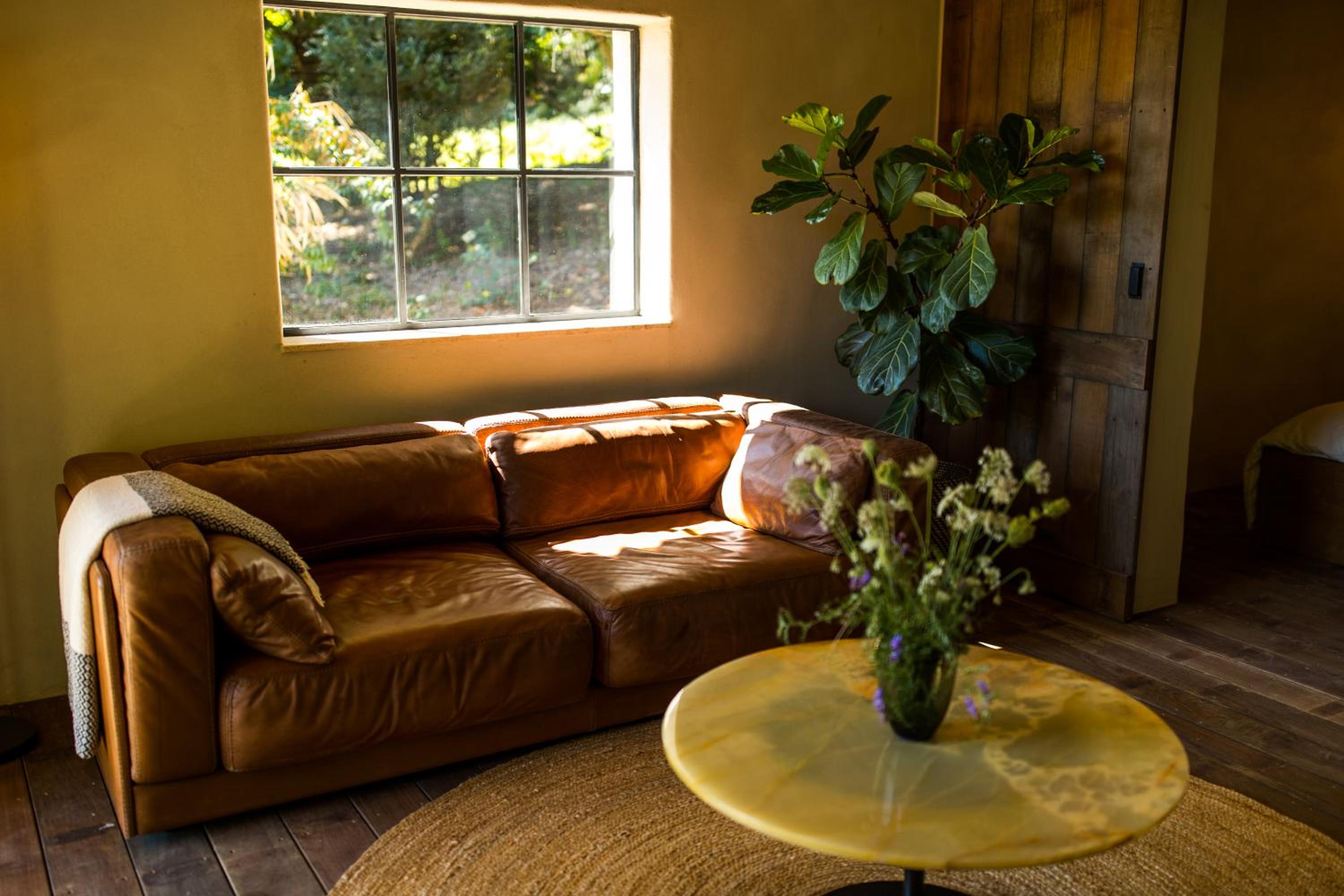 The cabin Morris