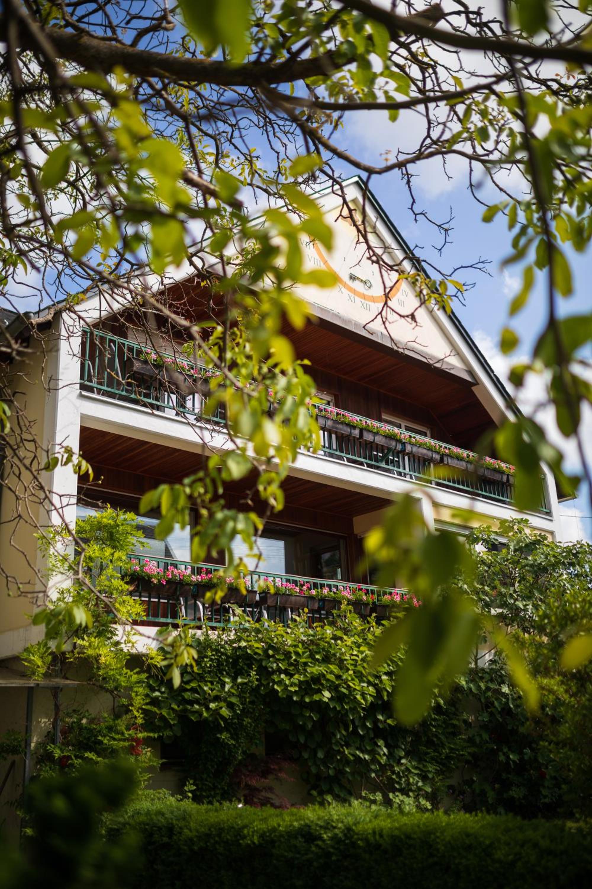 Bio-Weingut Staffelter Hof