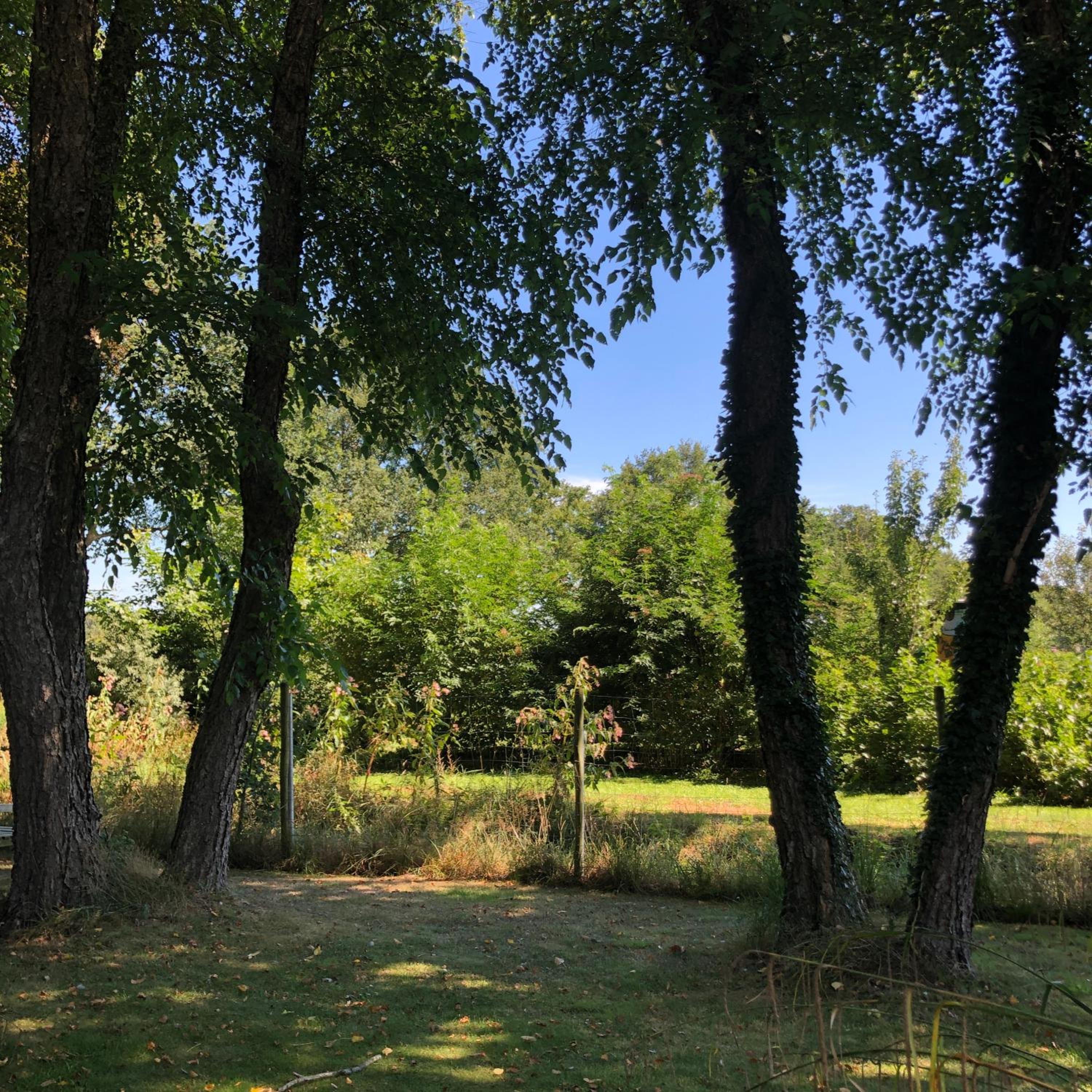 Photo 43