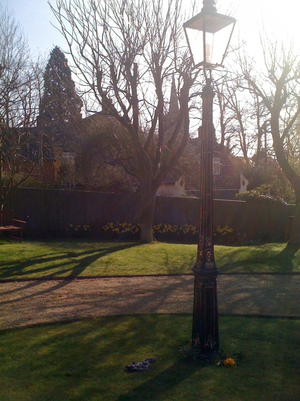 Photo 22