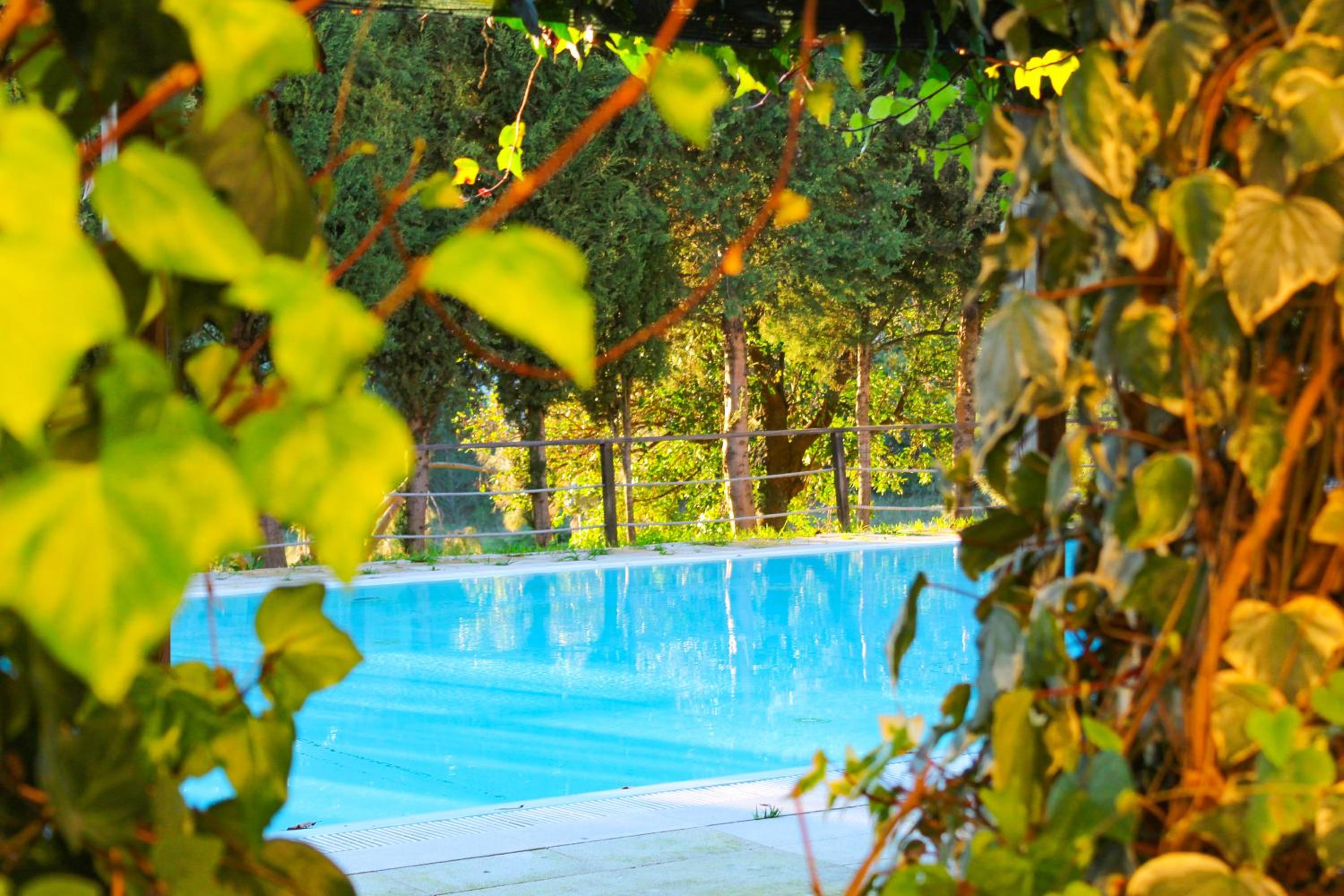 Coimbra Camping & Bungalows