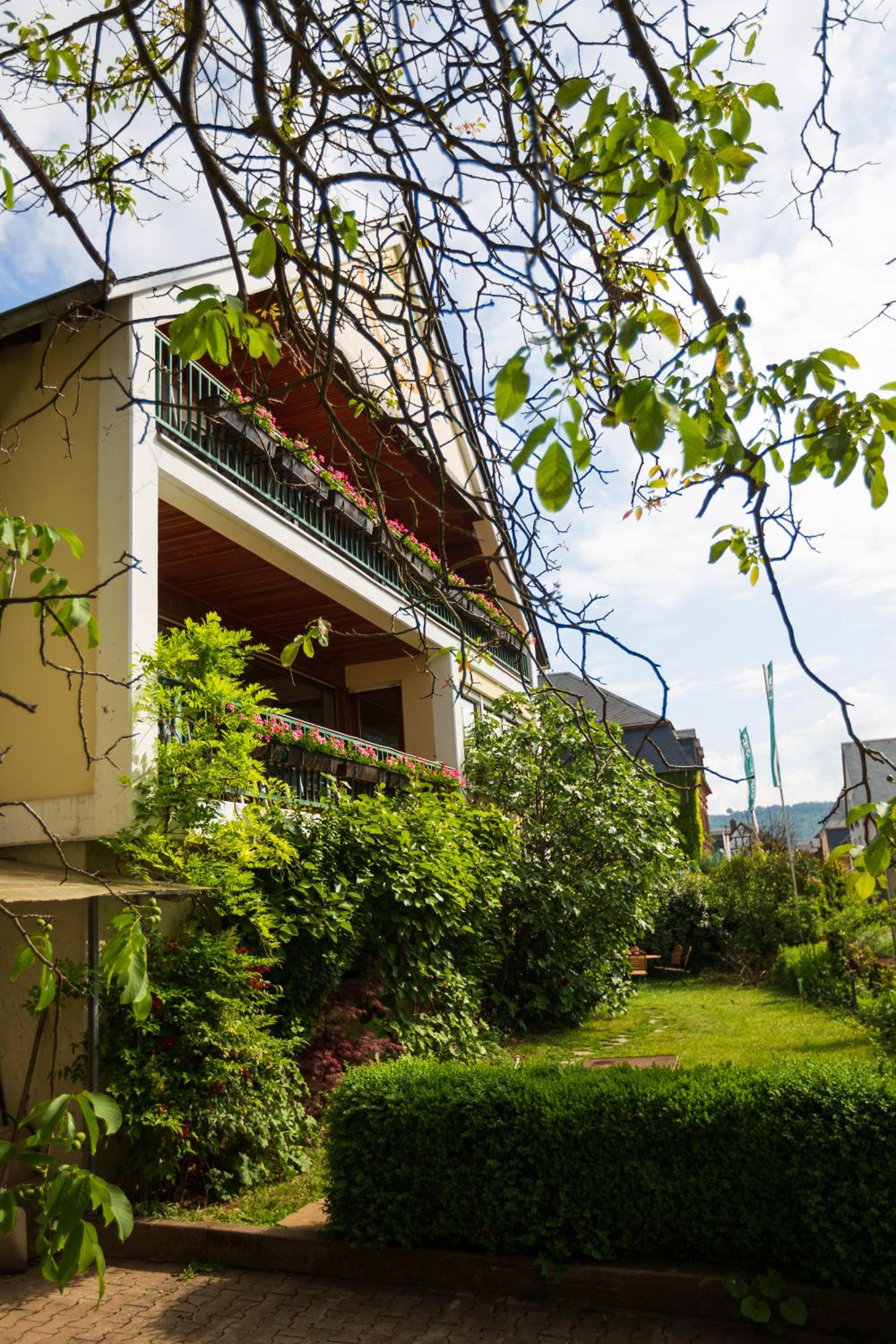 Bio-Weingut Staffelter Hof