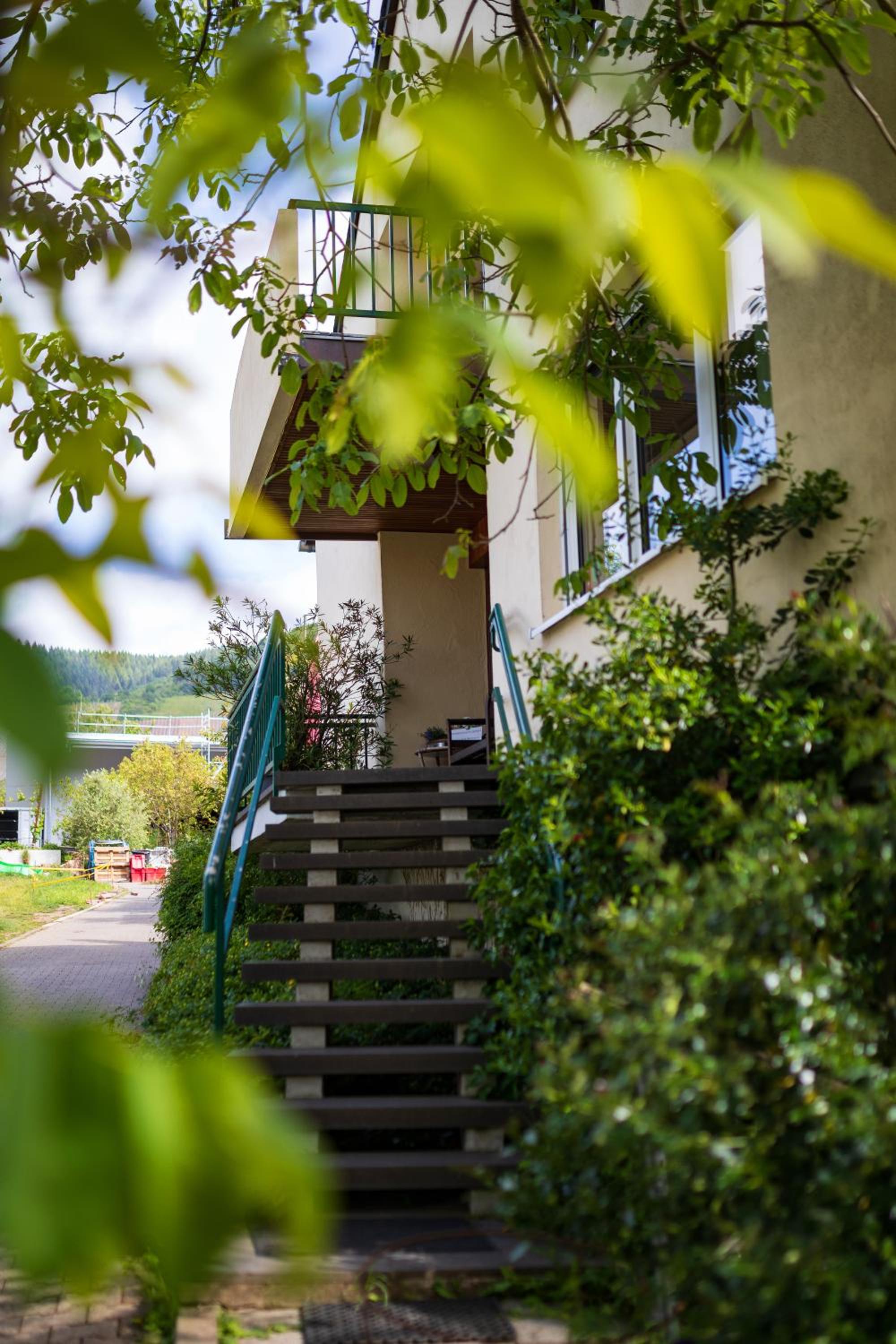 Bio-Weingut Staffelter Hof