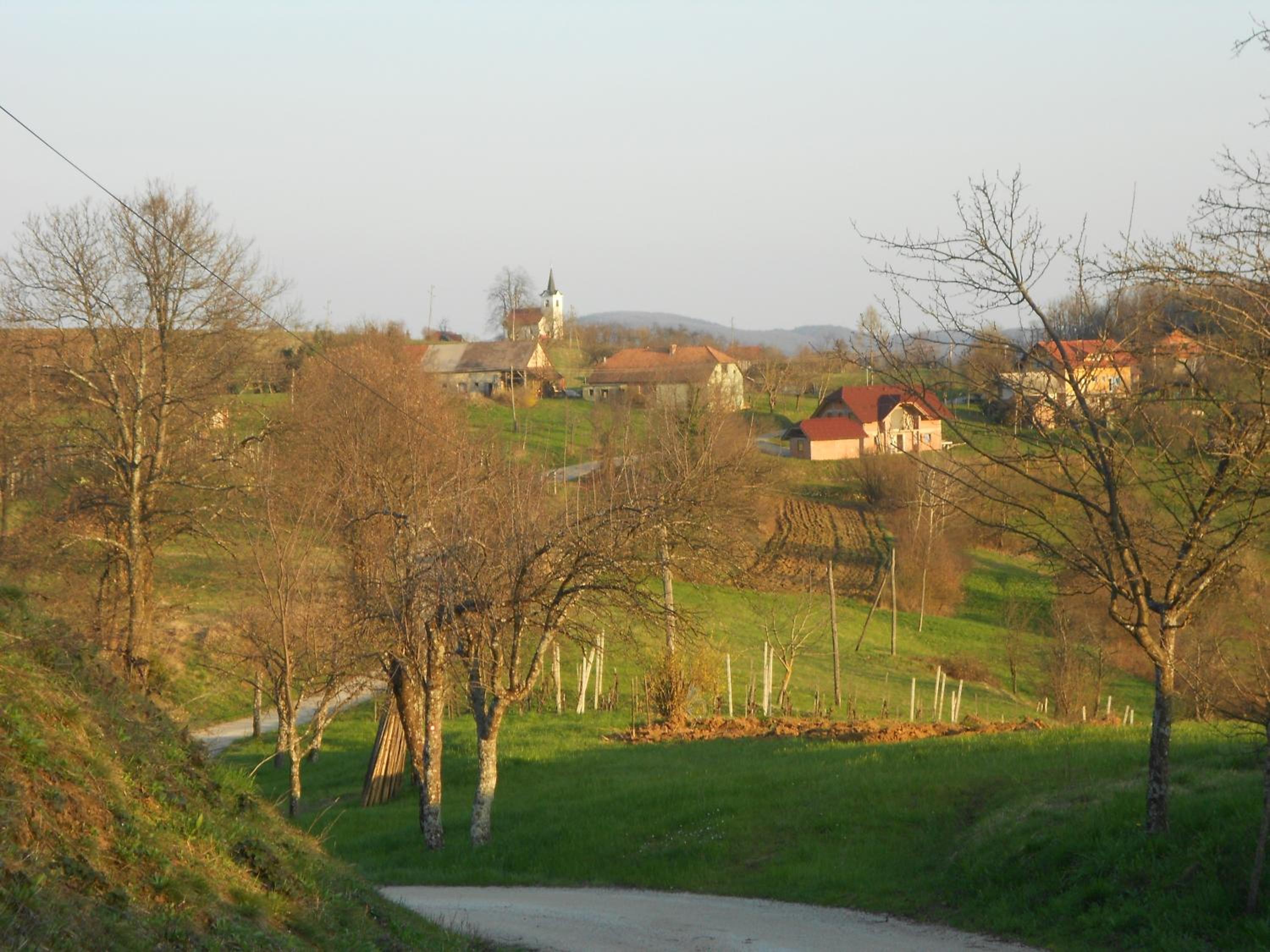 Photo 23