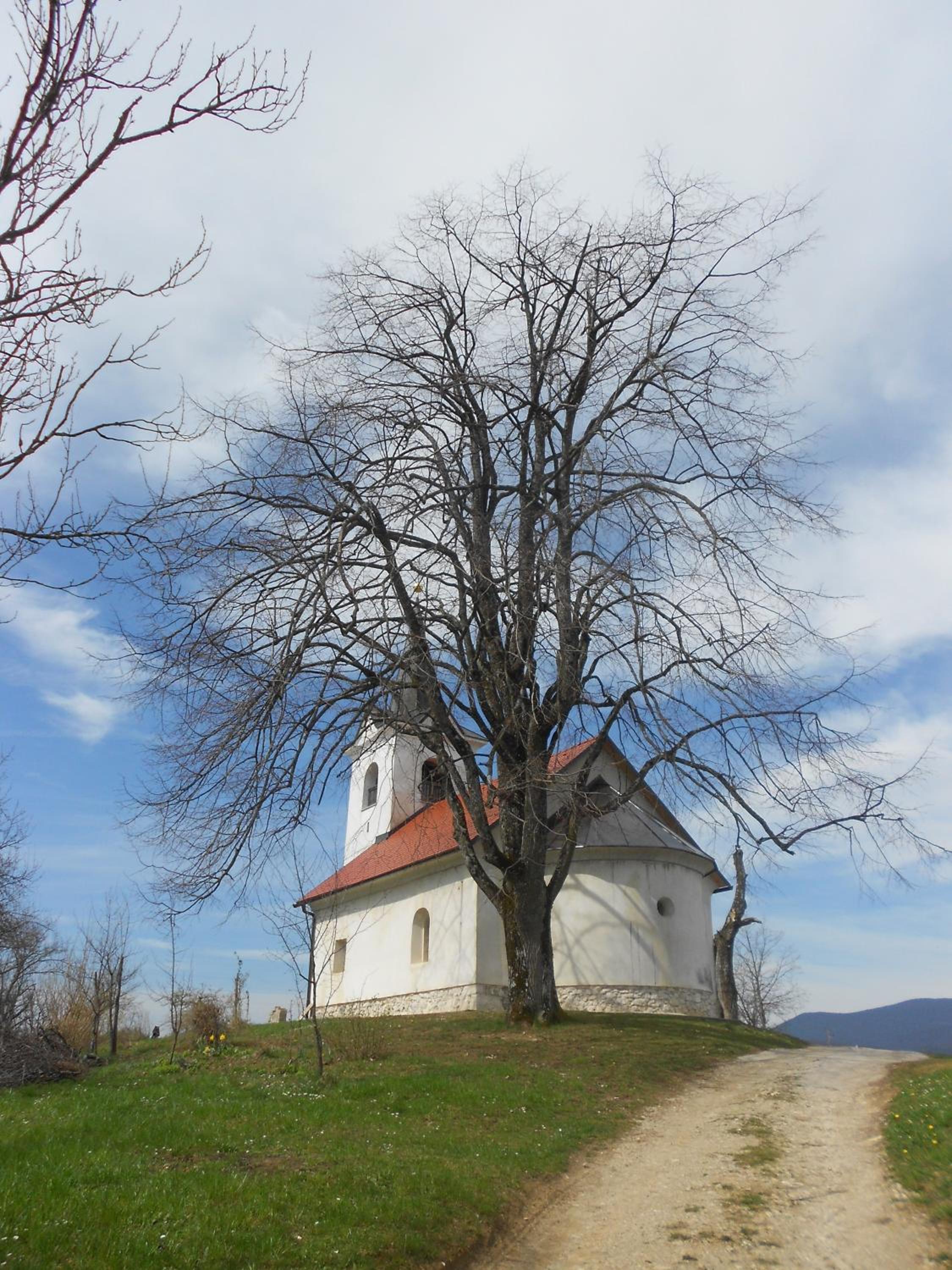 Photo 25