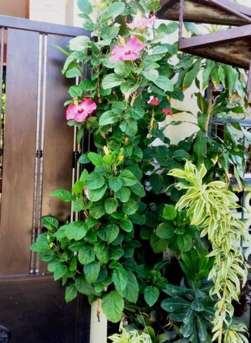 Hotel Apartamento JM. - Image 1