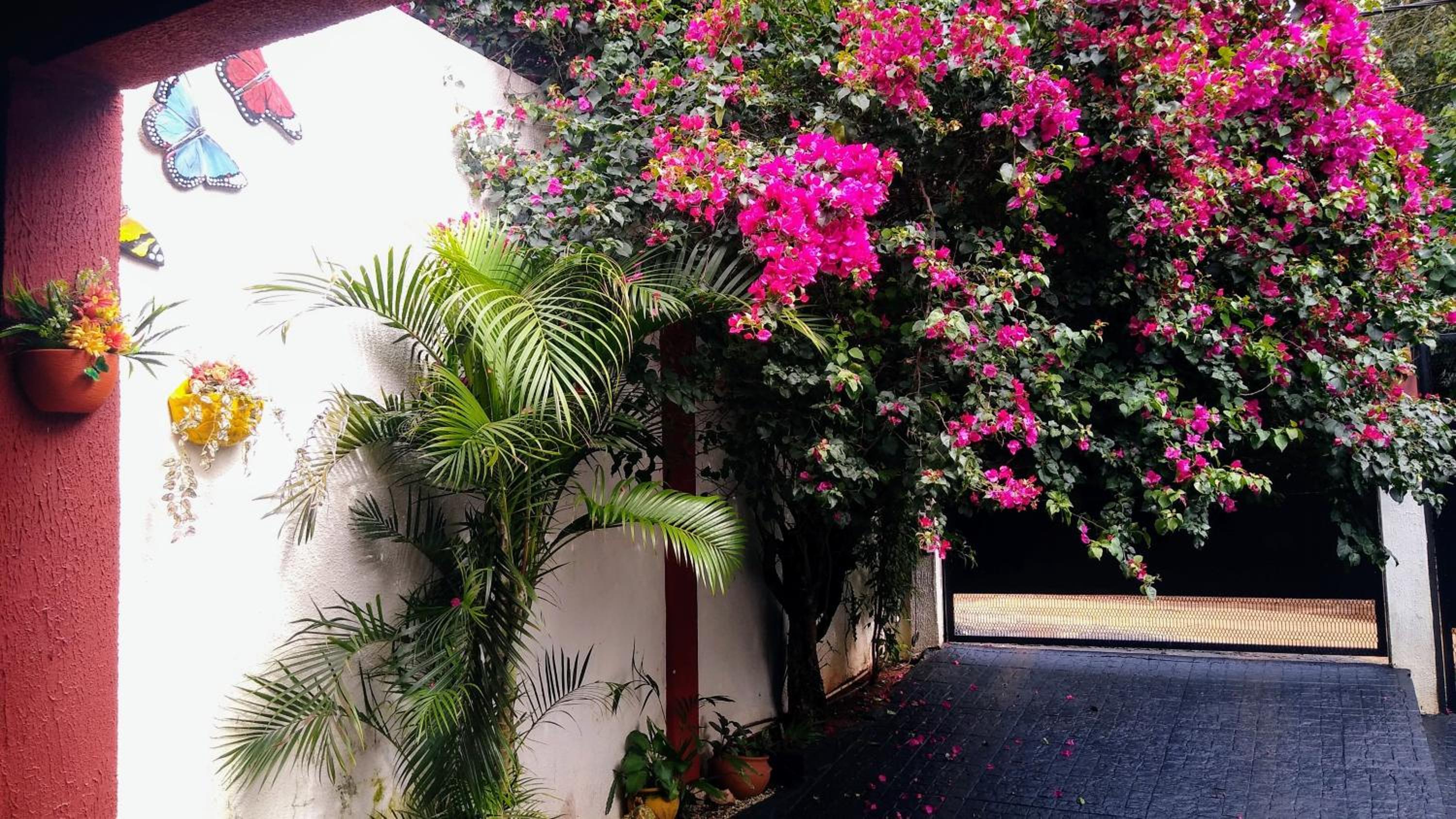 Tu hogar en las cataratas