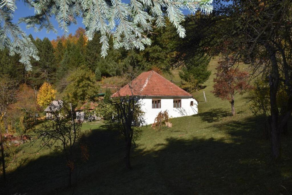 Seosko domacinstvo Imanje Medojevic