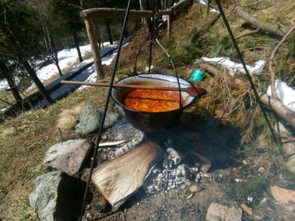 Seosko domacinstvo Imanje Medojevic view 4