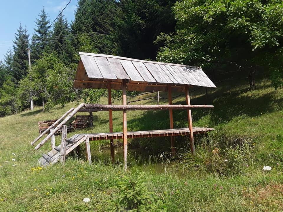 Photo 11