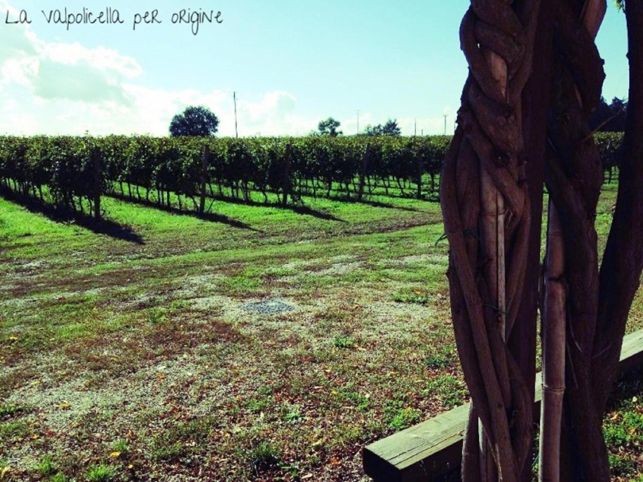 Dimora Buglioni Wine Relais, photo 73