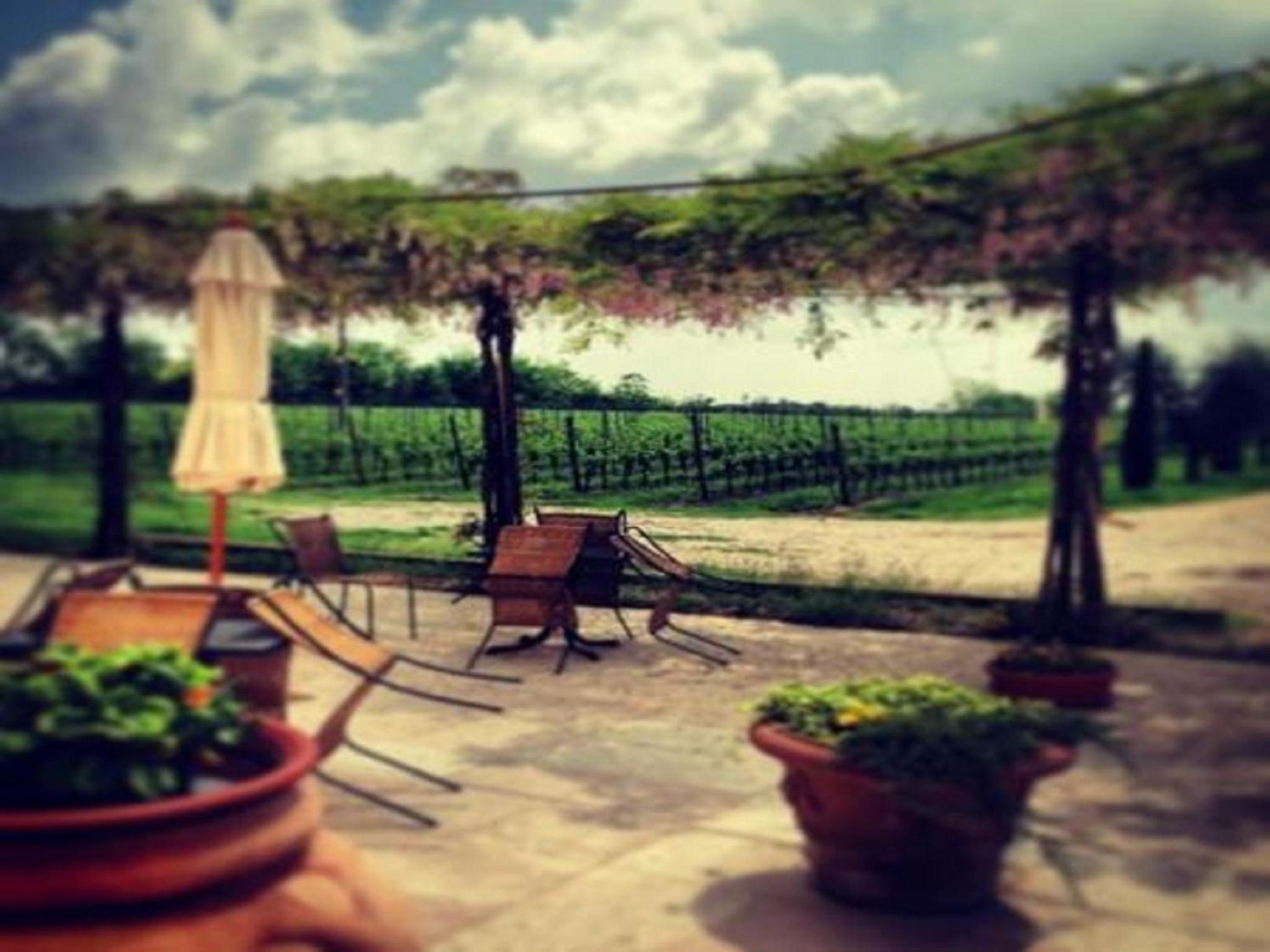 Dimora Buglioni Wine Relais, photo 14