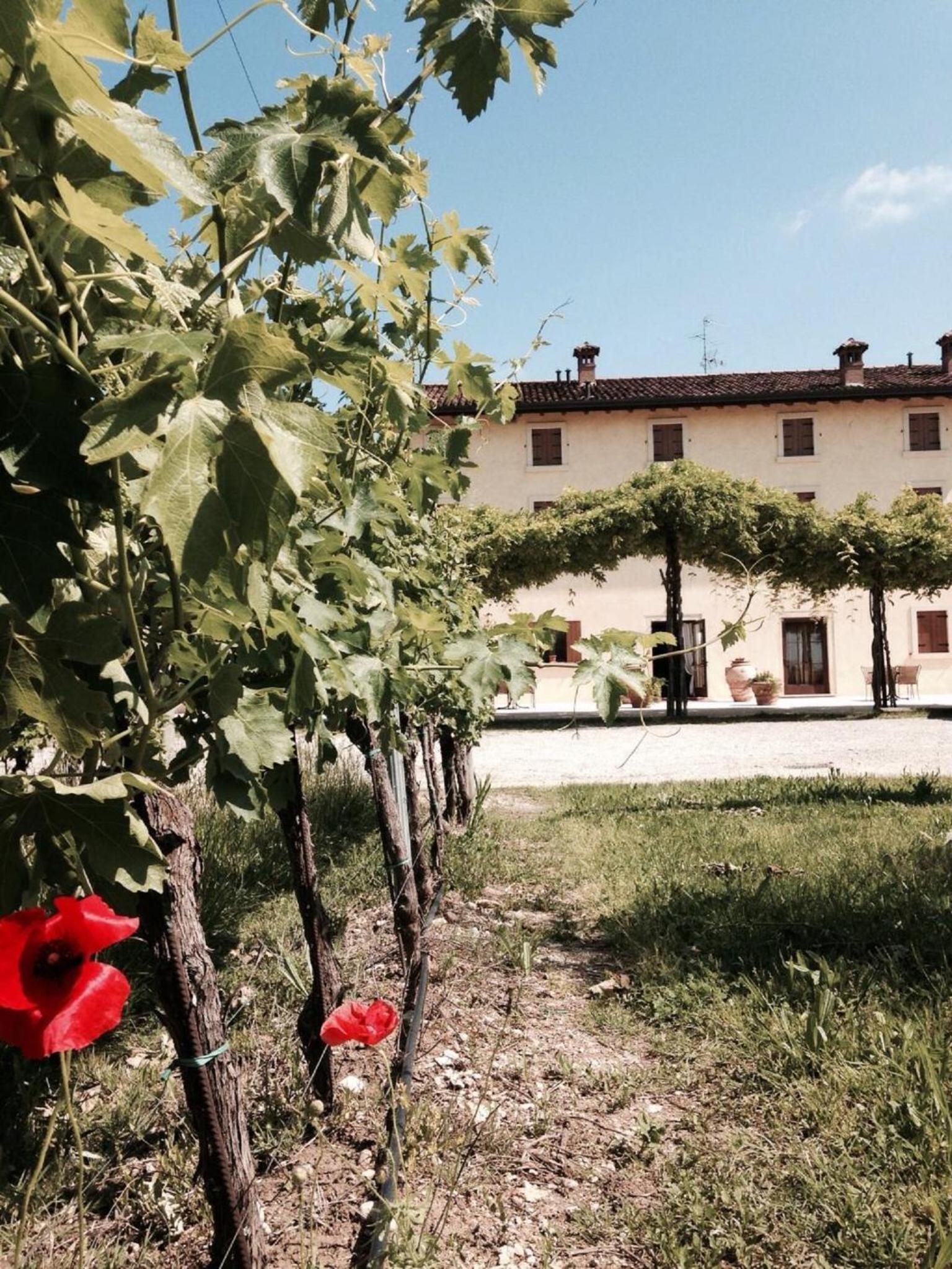 Dimora Buglioni Wine Relais, photo 76