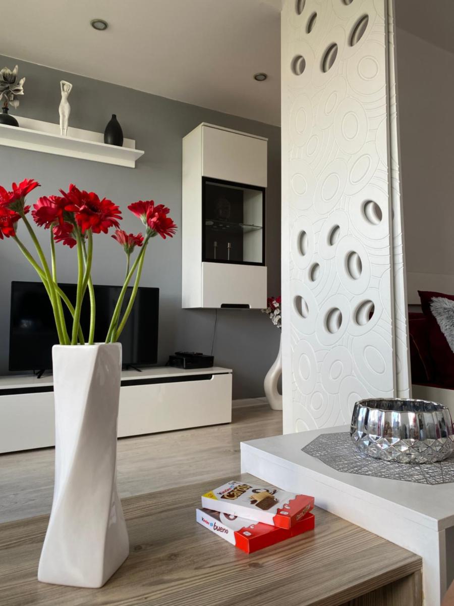 Comfortable Apartament view 4