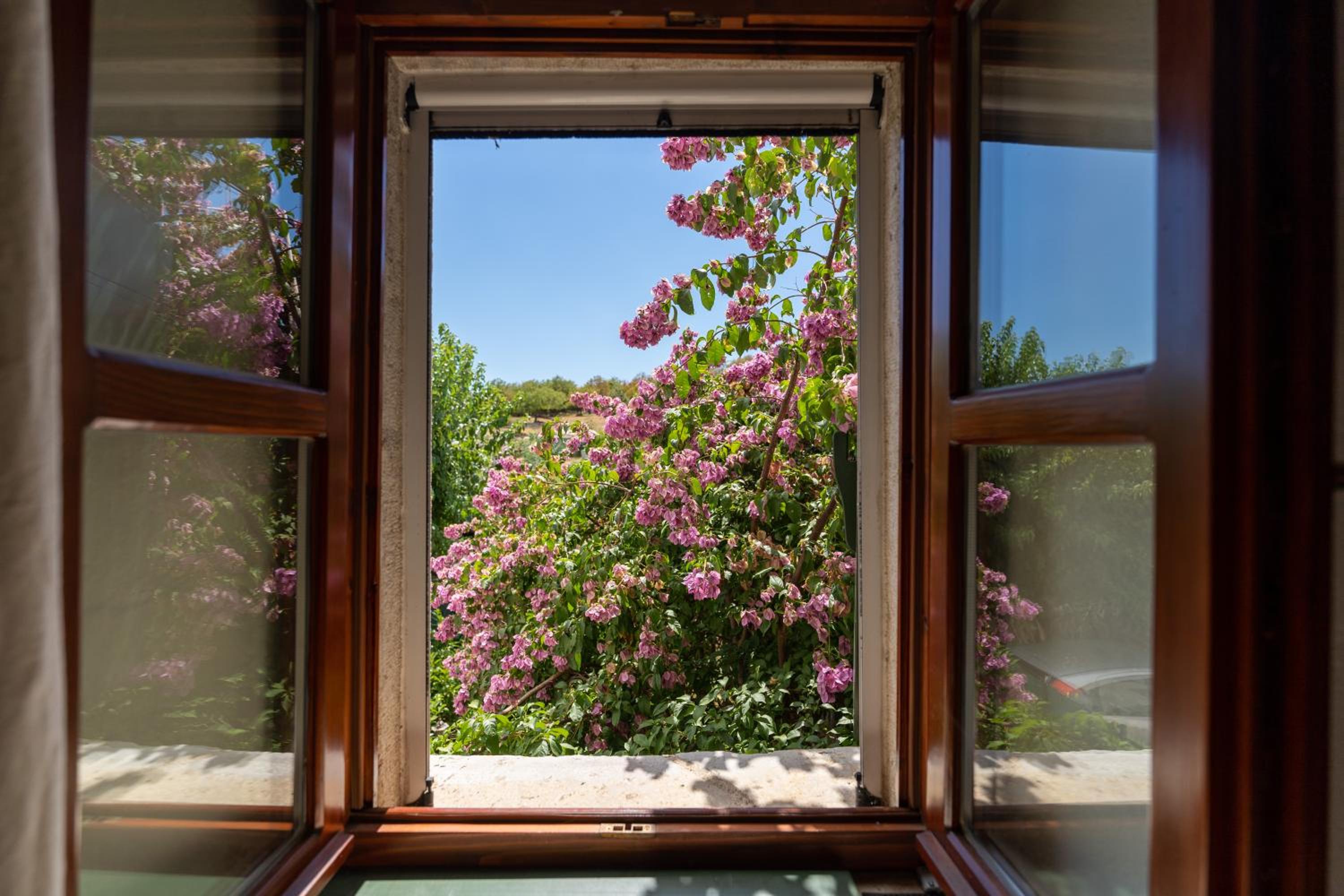 Casa-Pietra Porec view 5