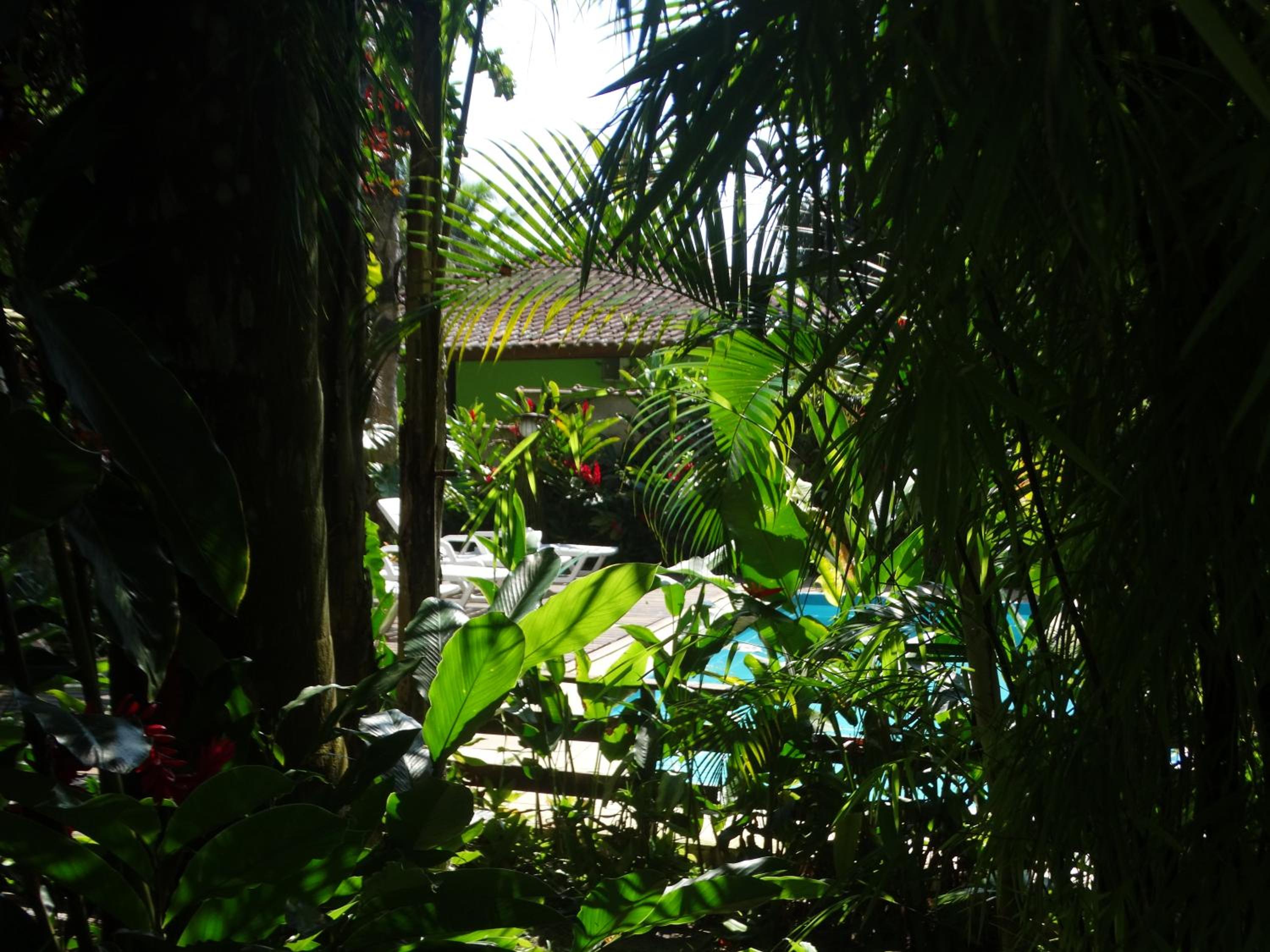 Photo 18