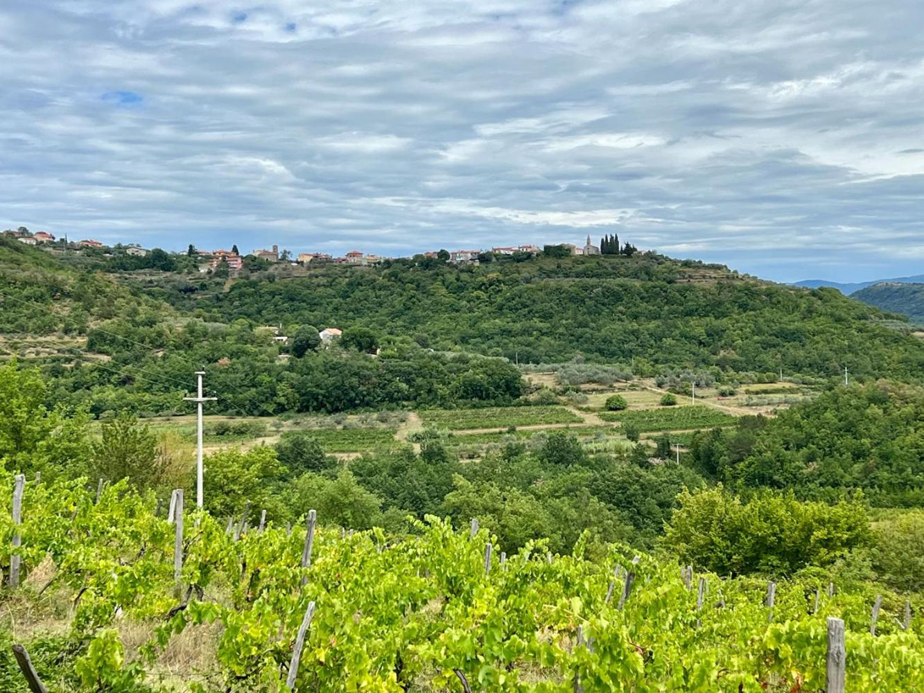 Casa Histria Apartments view 3
