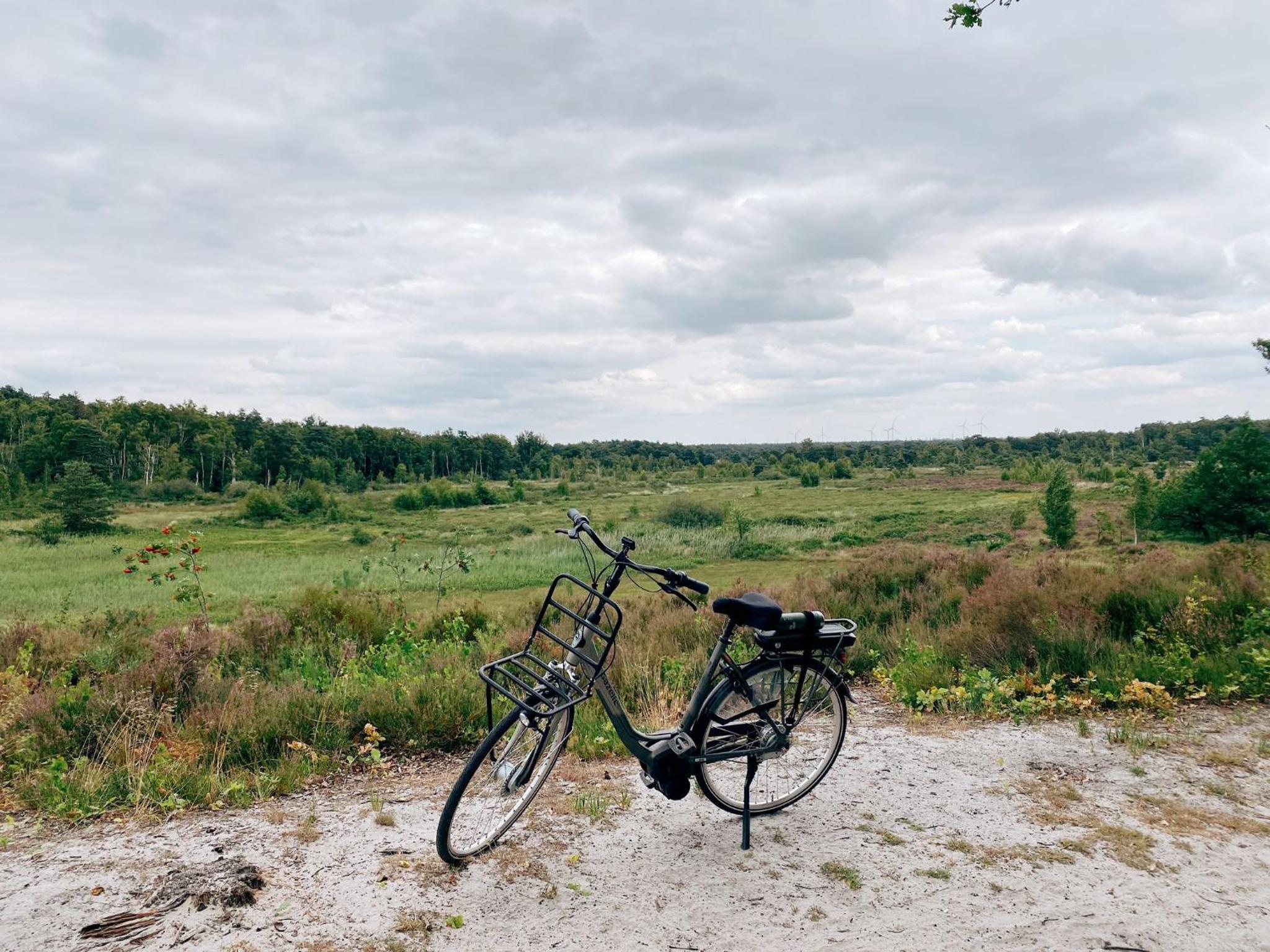 Mimi's natuurhuisje