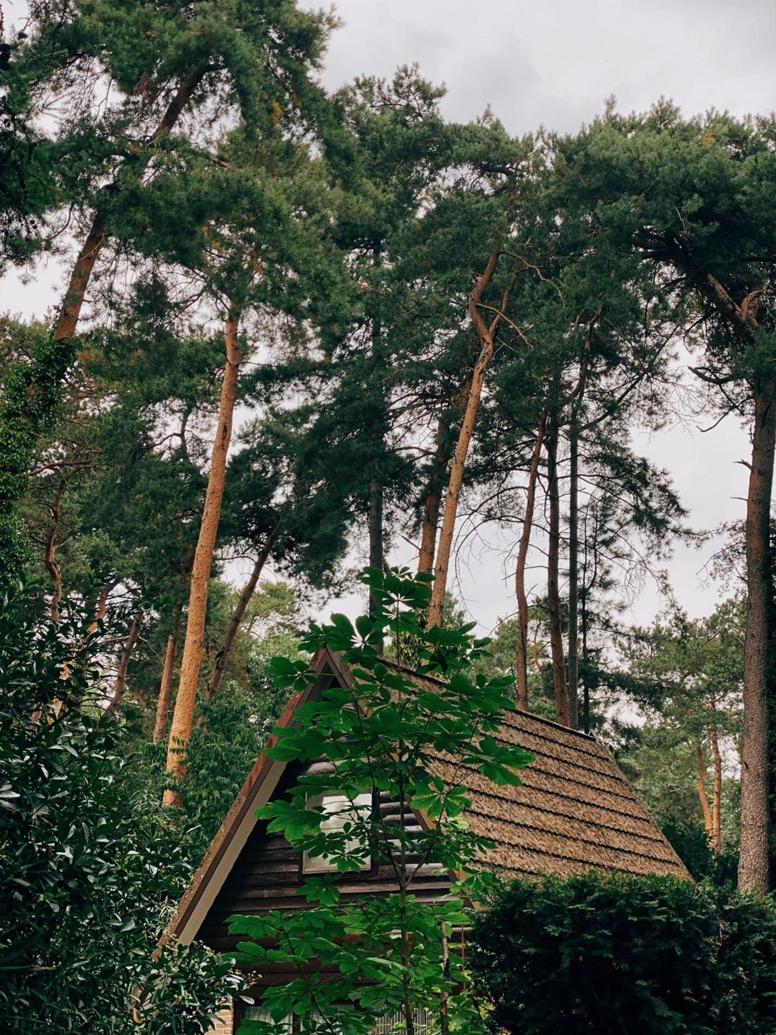 Mimi's natuurhuisje