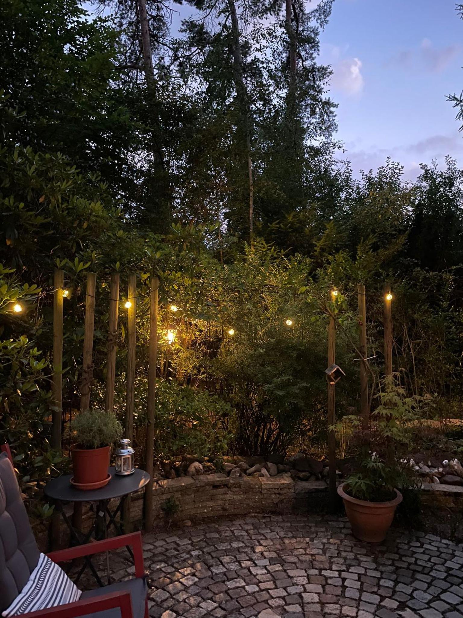 Mimi's natuurhuisje