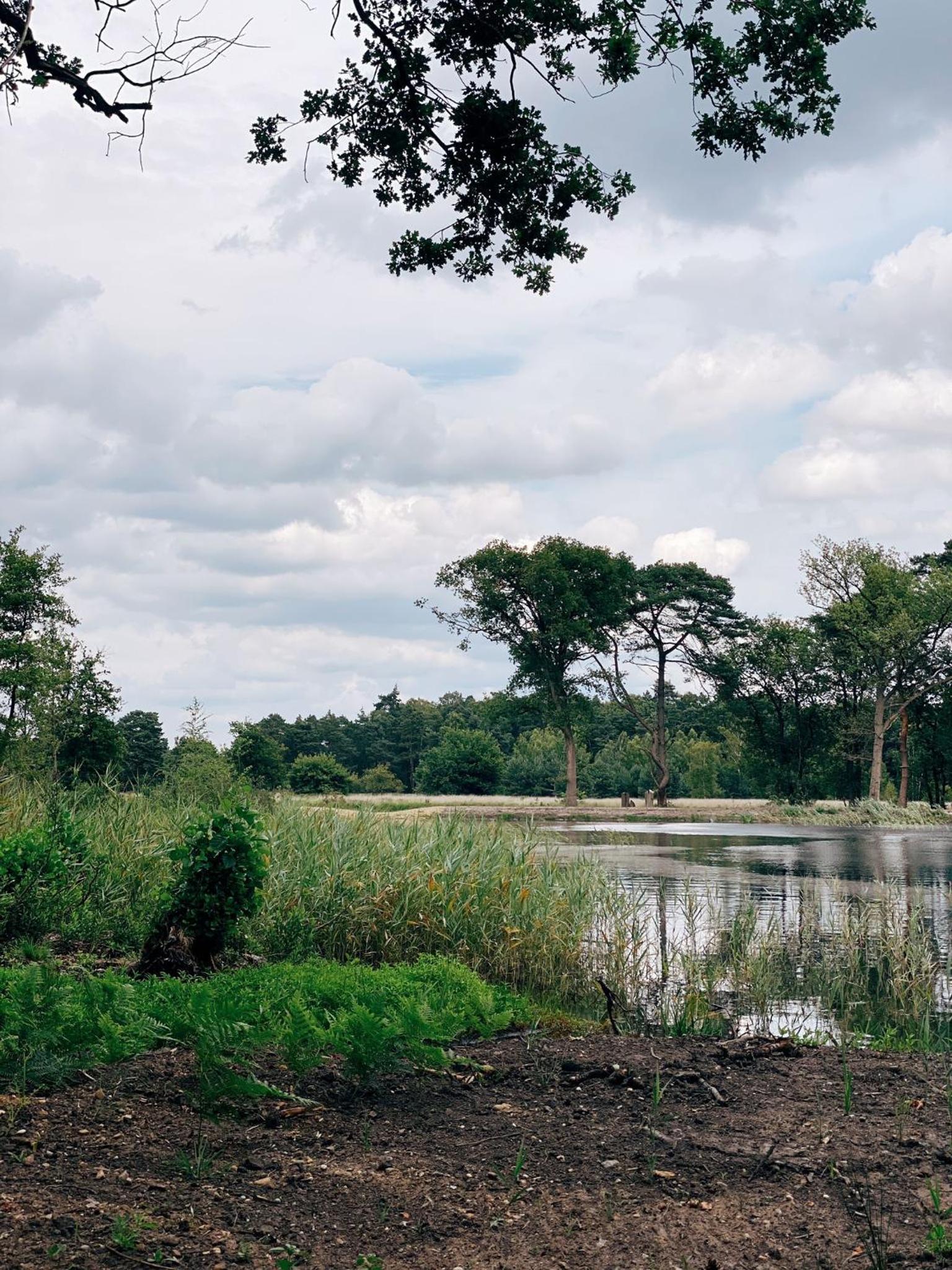 Mimi's natuurhuisje
