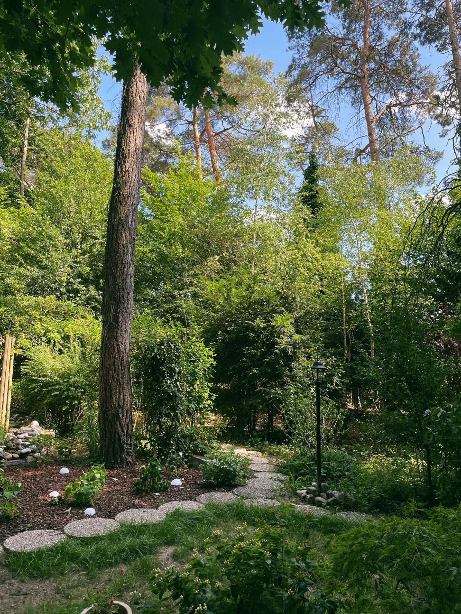 Mimi's natuurhuisje