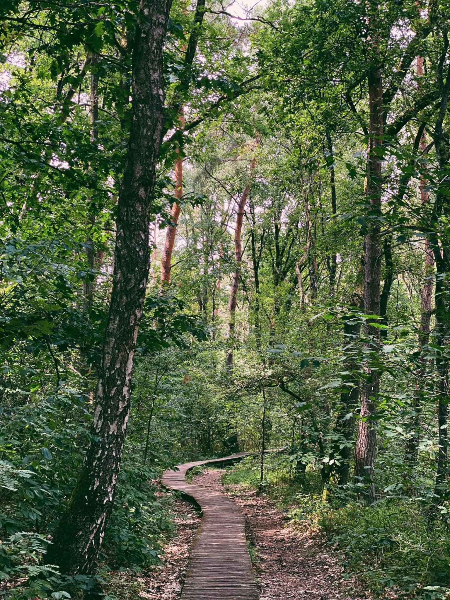 Mimi's natuurhuisje