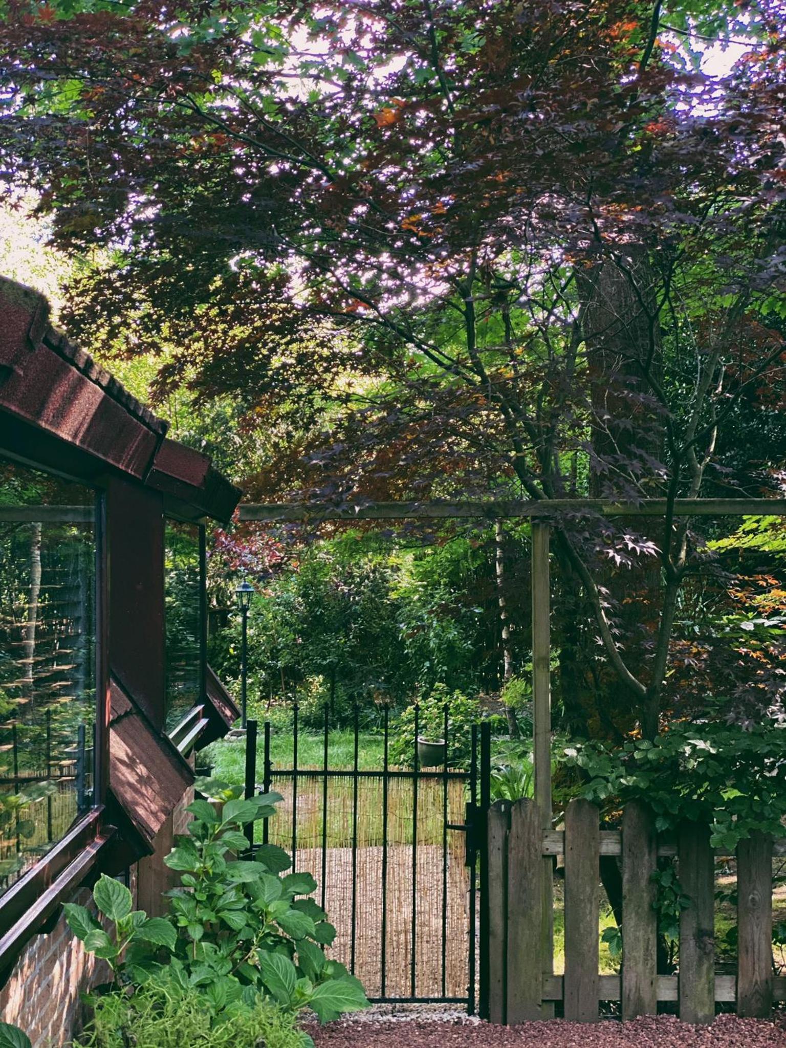 Mimi's natuurhuisje