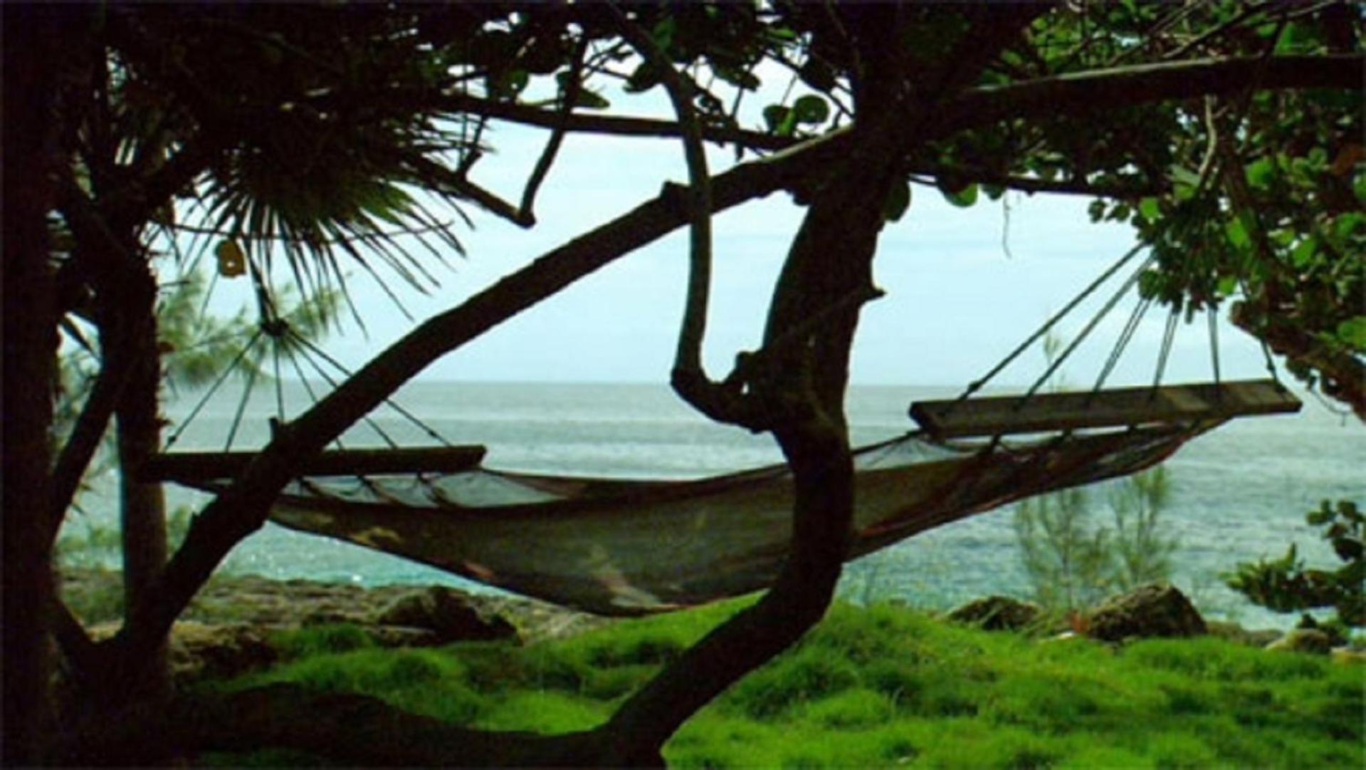 Tingalaya's Retreat