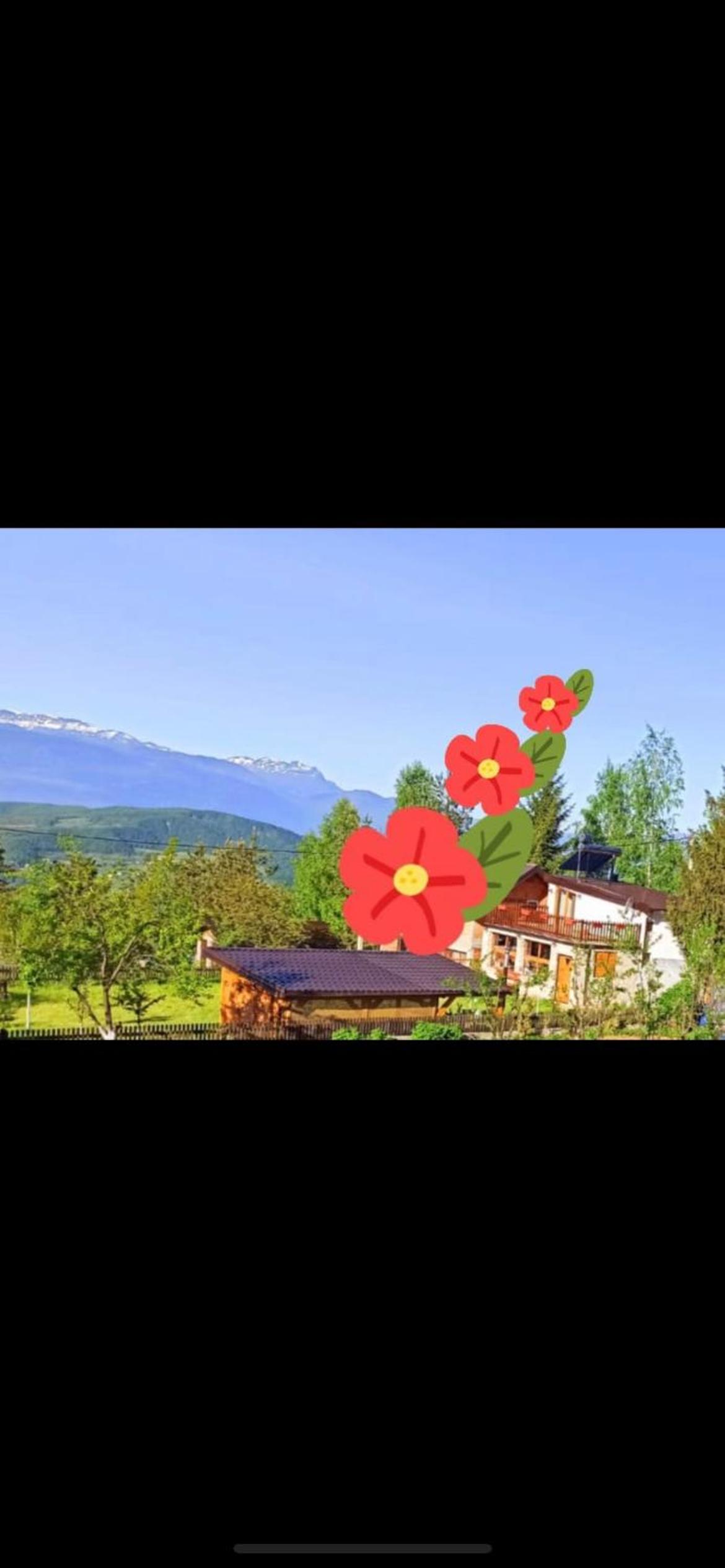 Solar Panorama