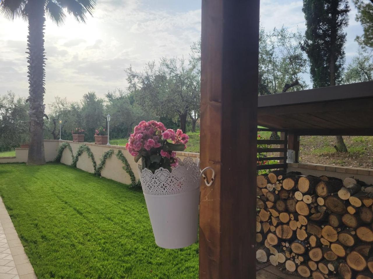Photo 19
