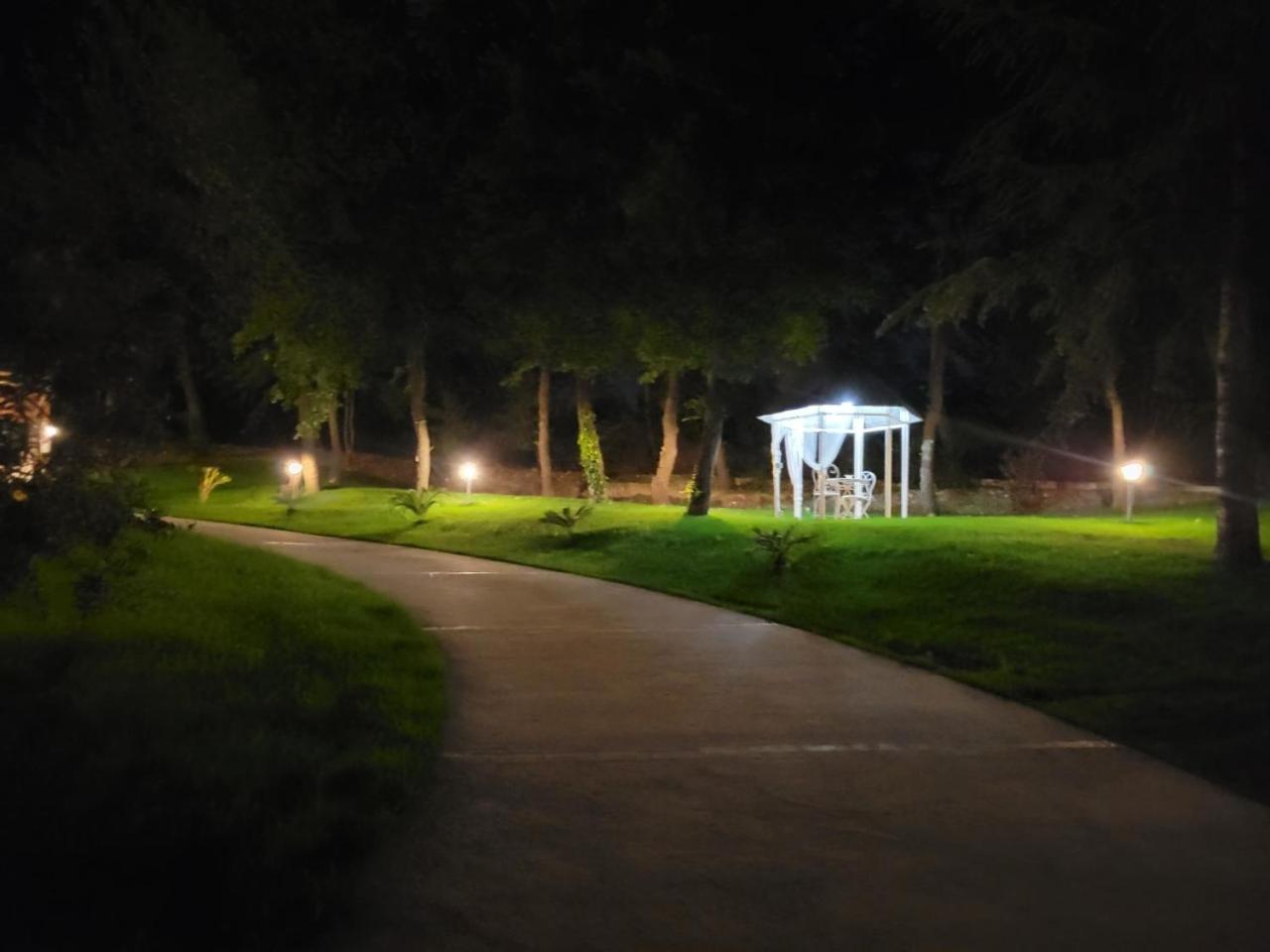 Photo 27