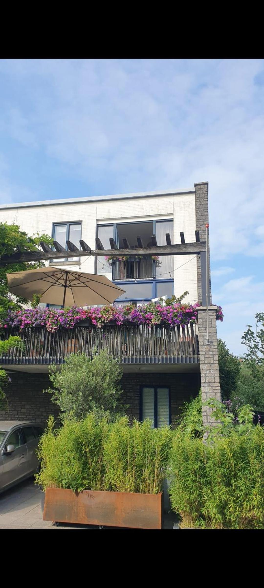 Lovely 1 bedroom apartment with garden no smoking