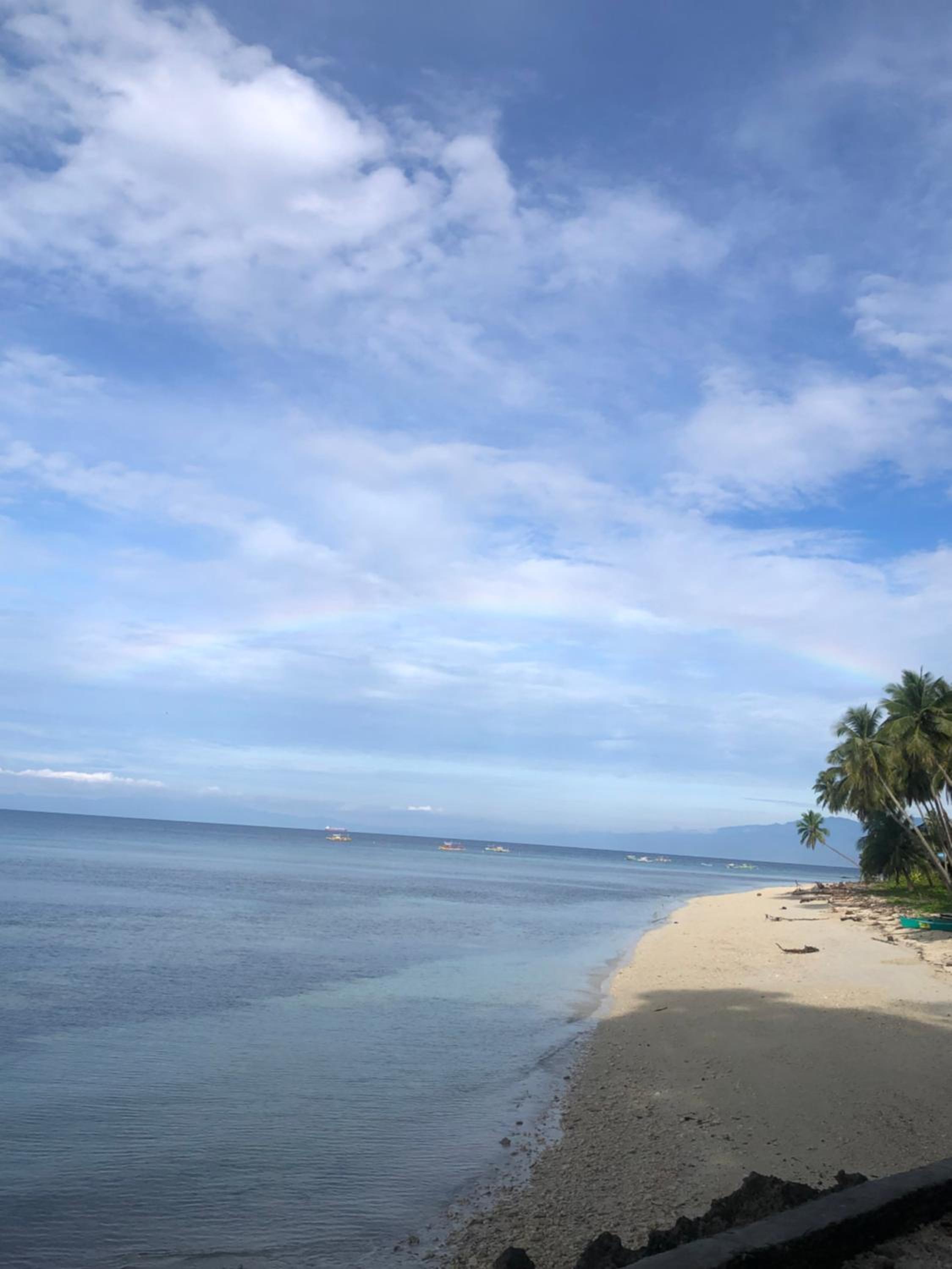 Photo 31