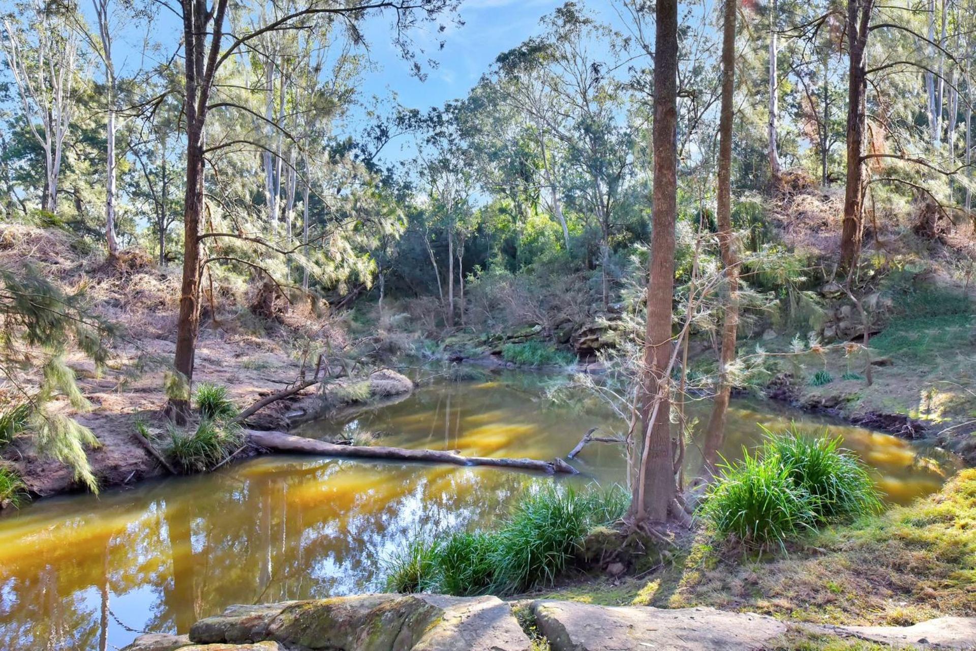 Wongaburra Homestead view 2