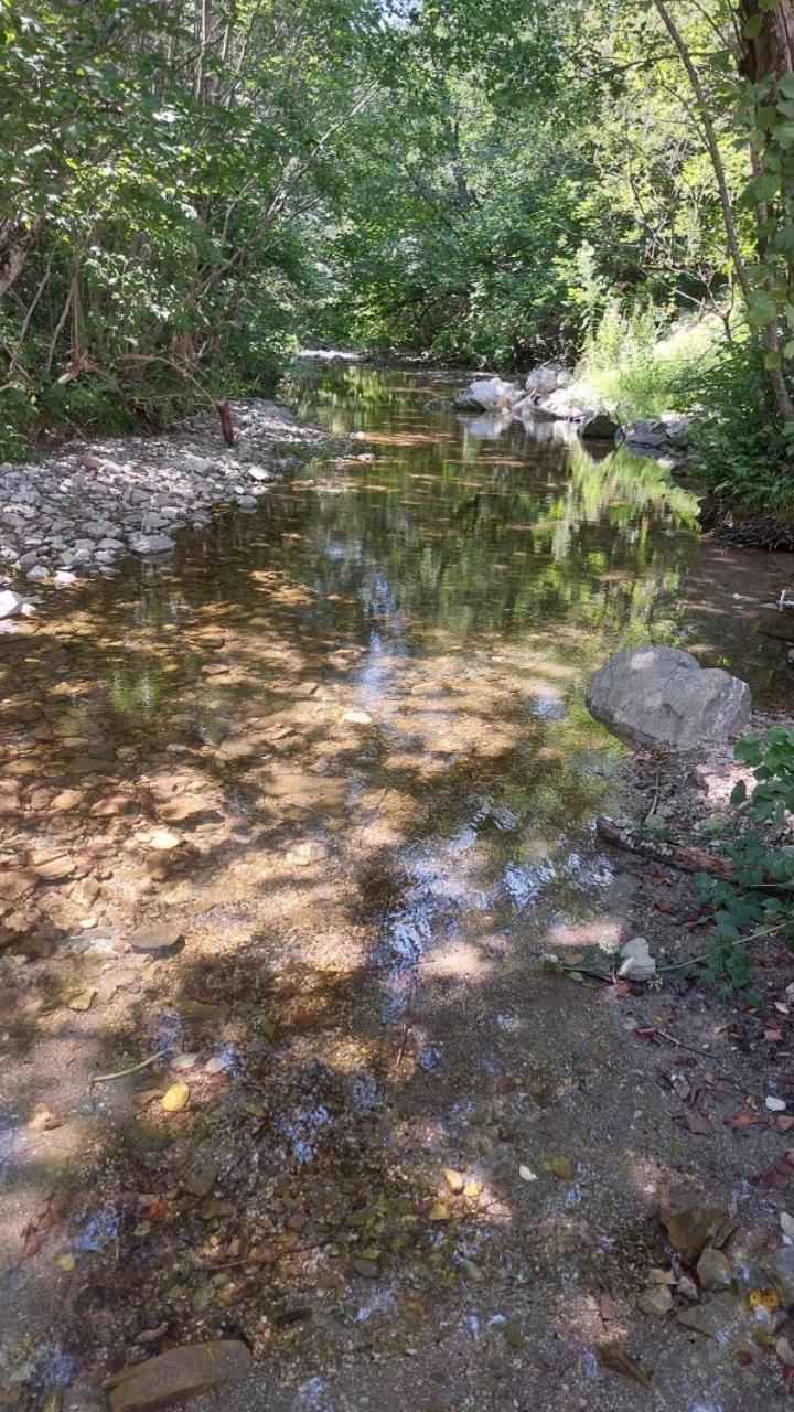 Photo 22