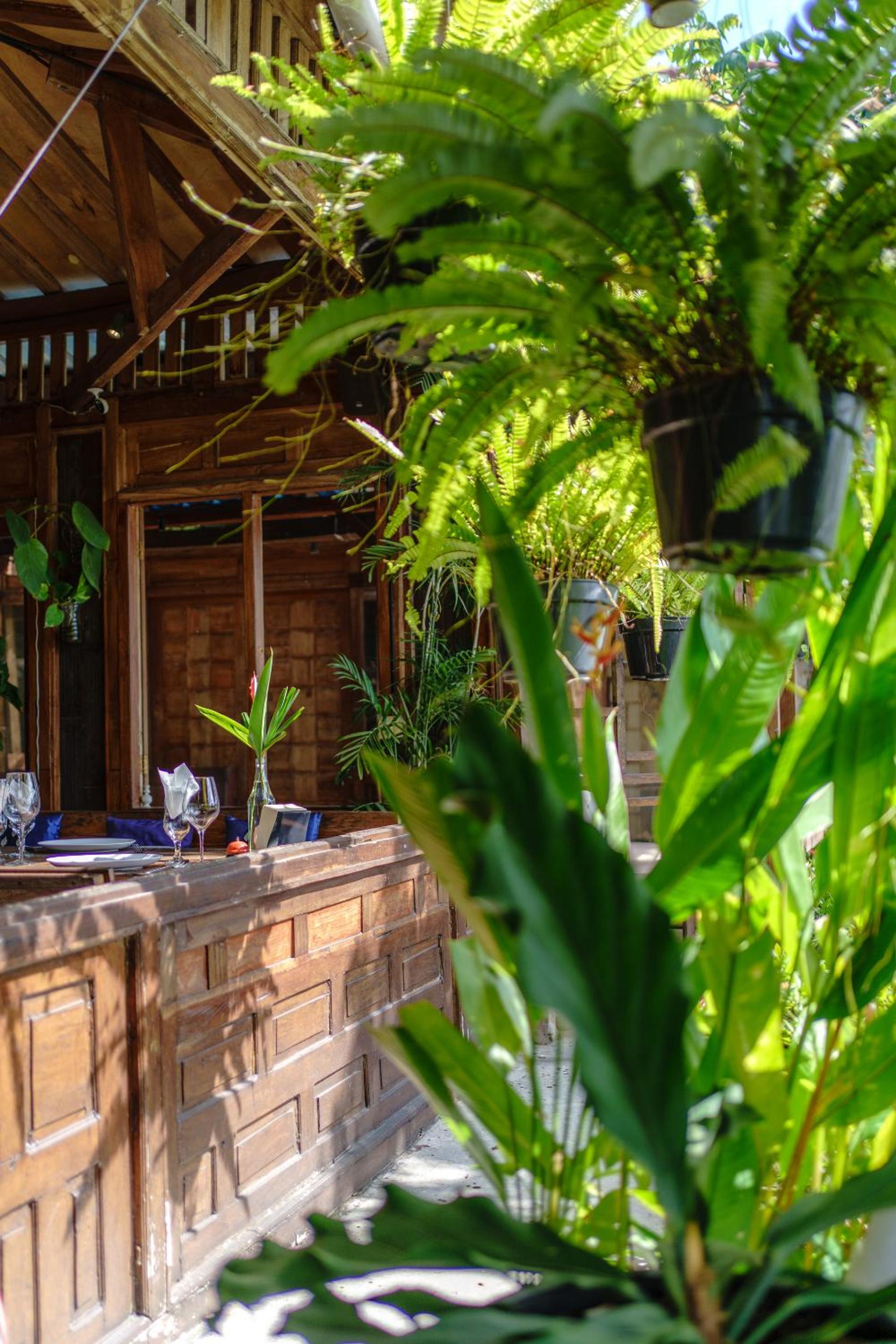My Dream Bali