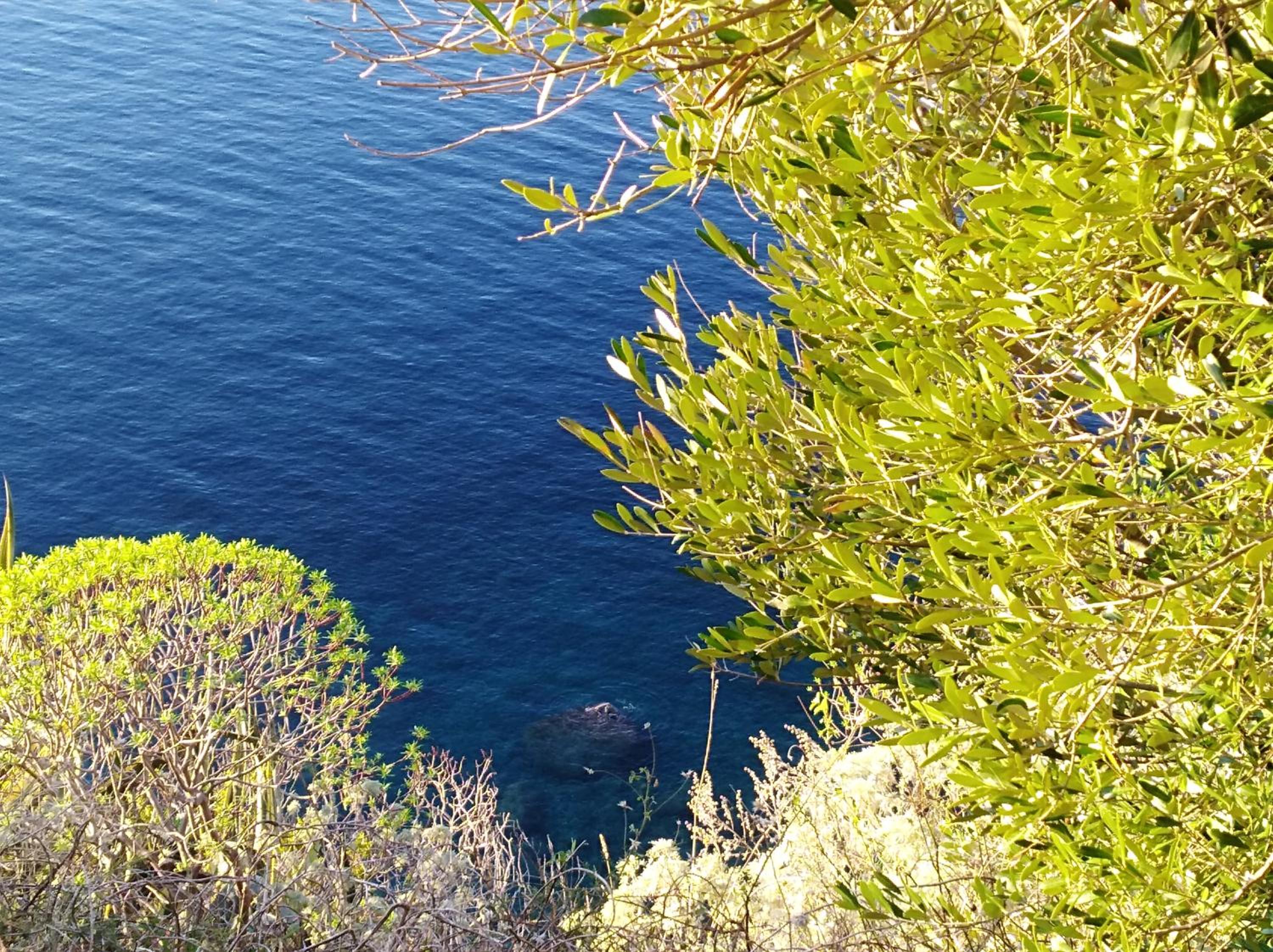 Villa Eleonora