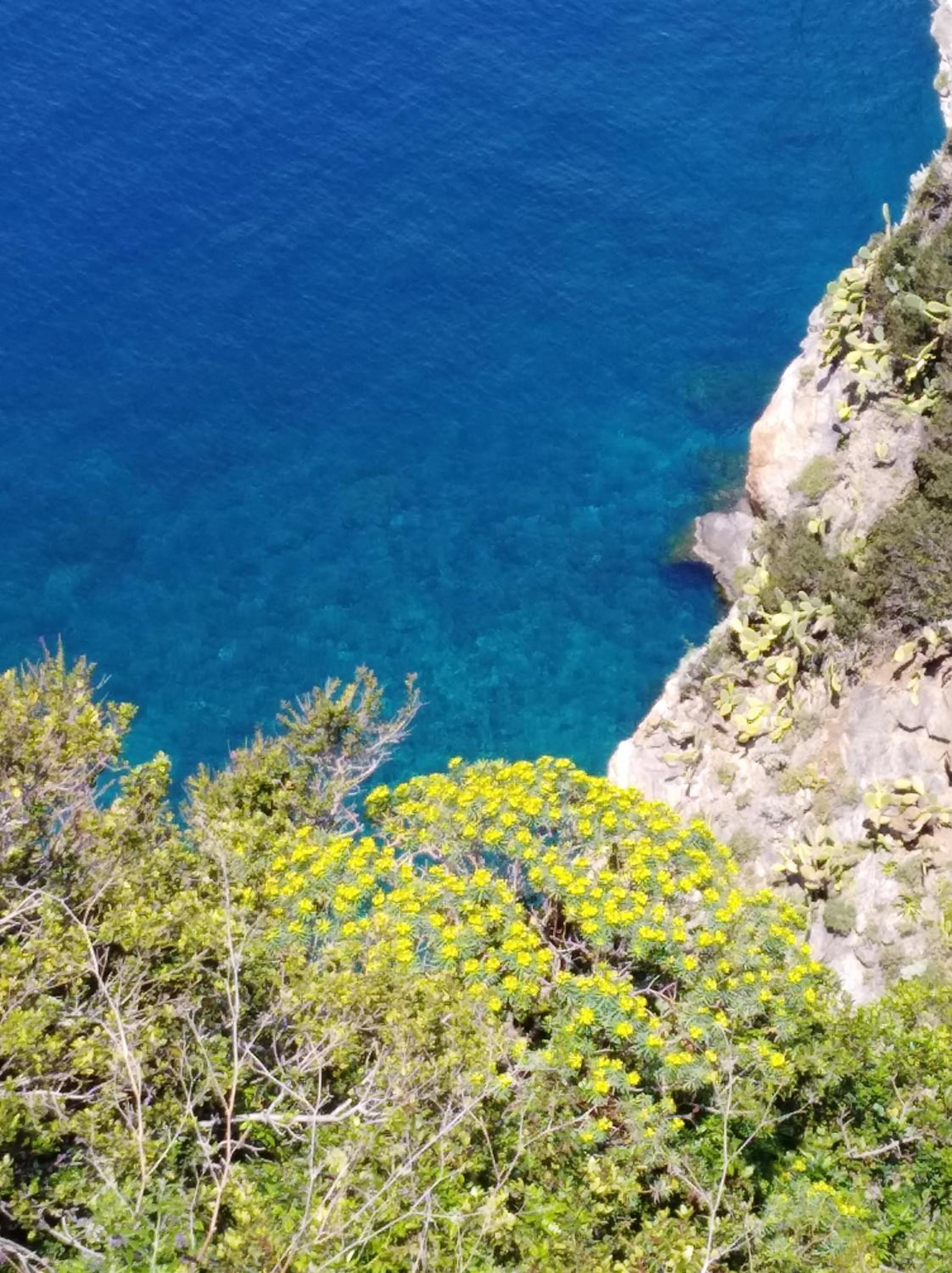 Villa Eleonora