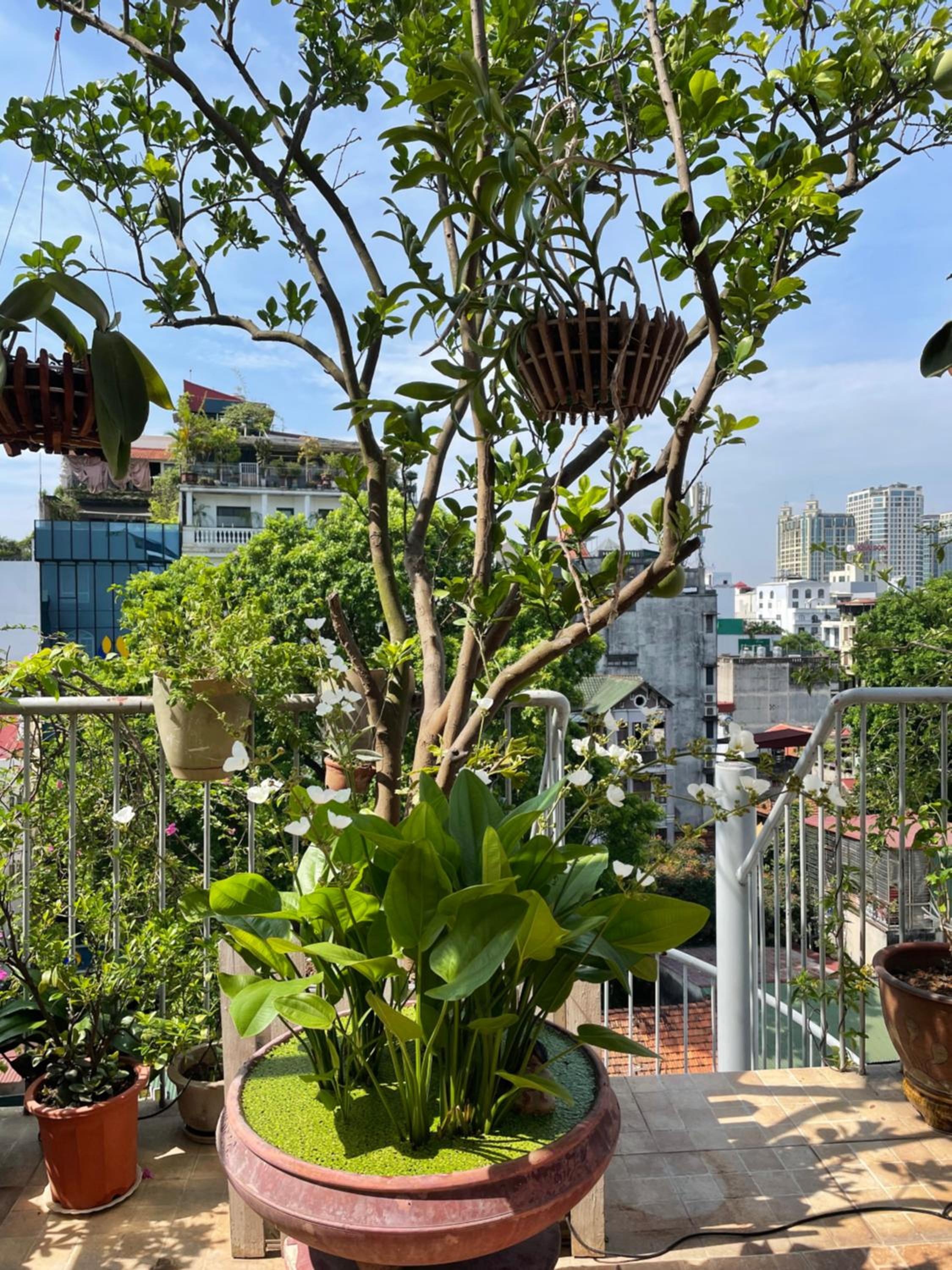May Residence-800m from Opera House