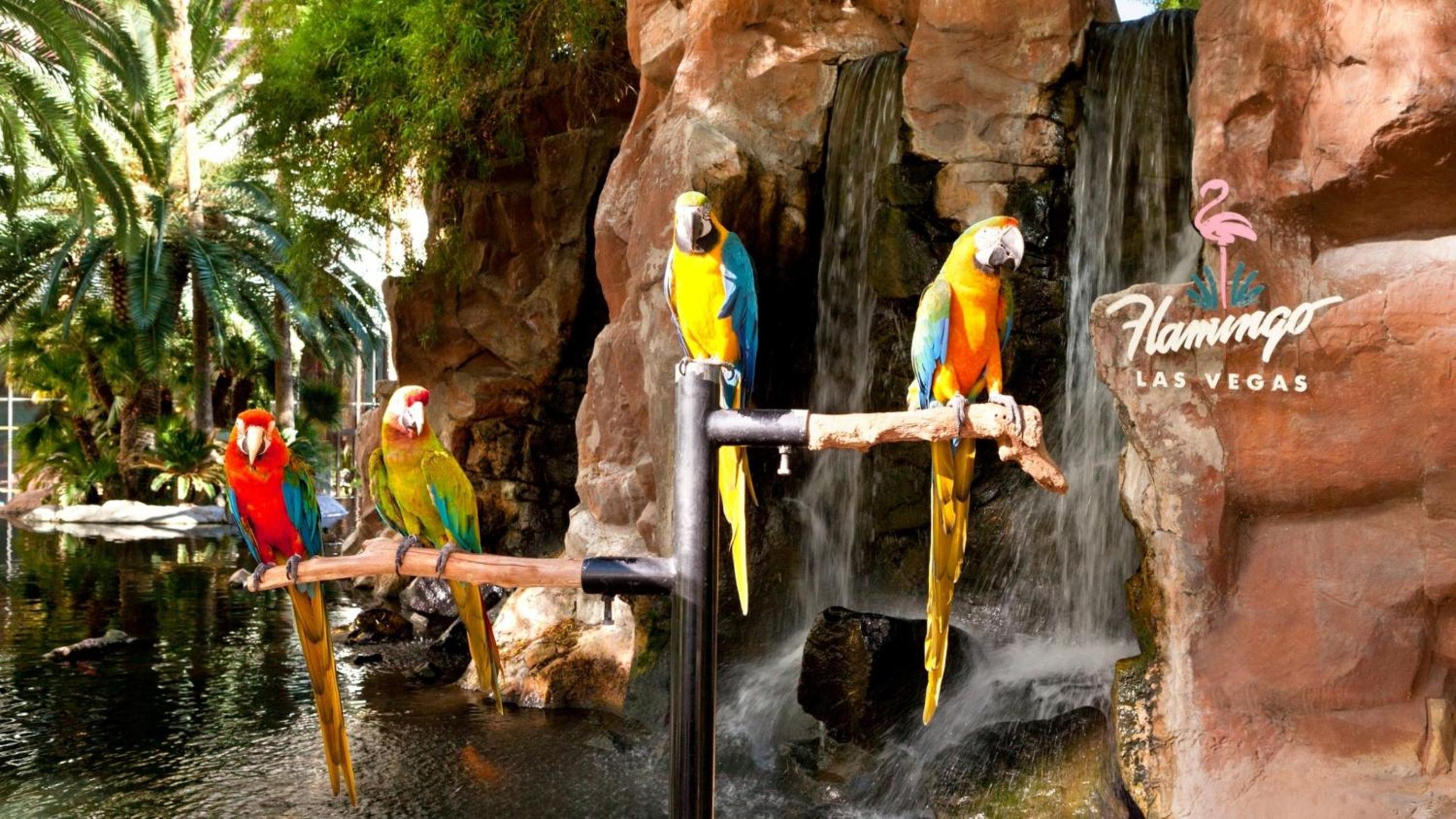 Flamingo Las Vegas Hotel & Casino, Billede 132