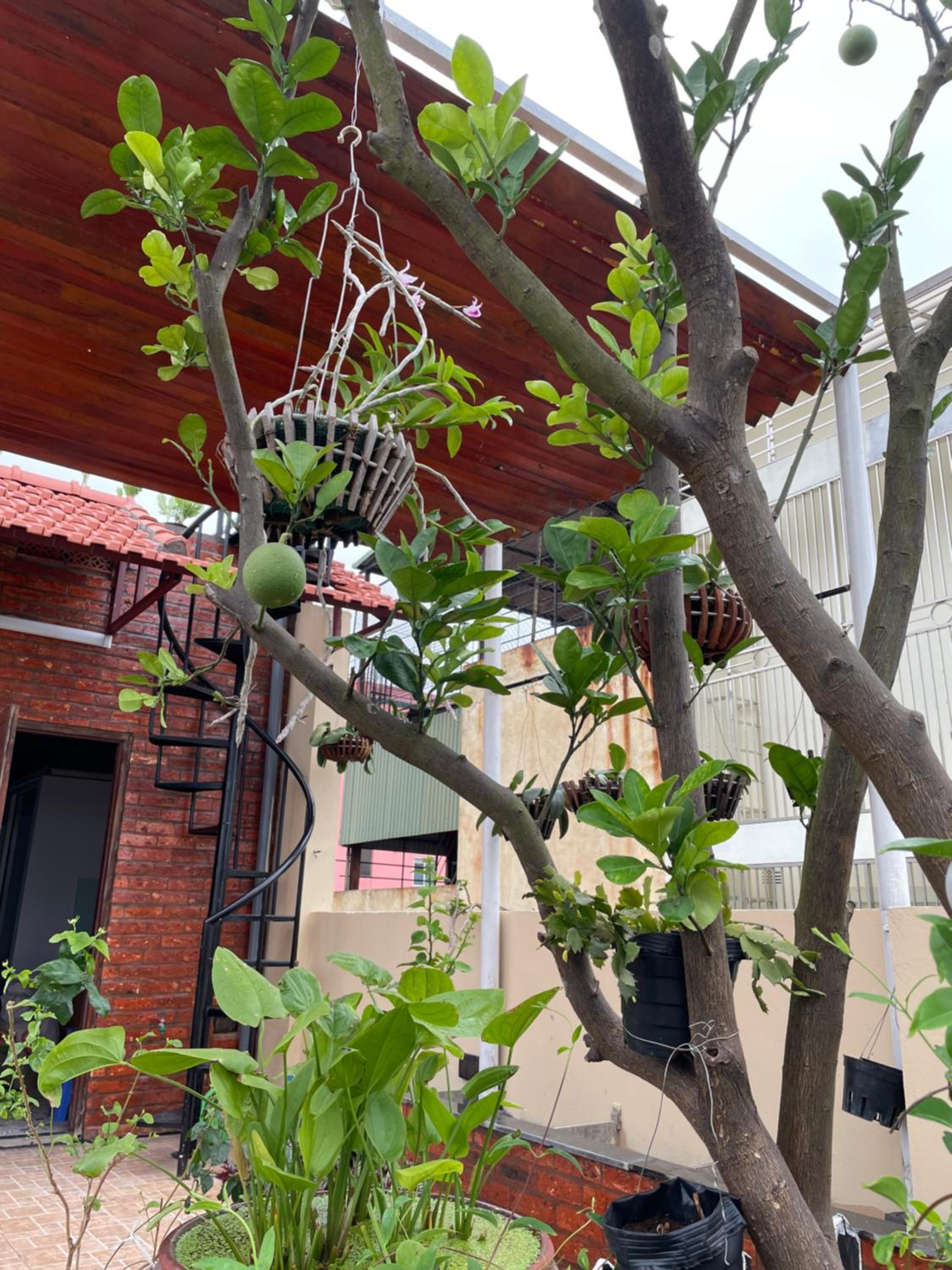 May Residence-800m from Opera House