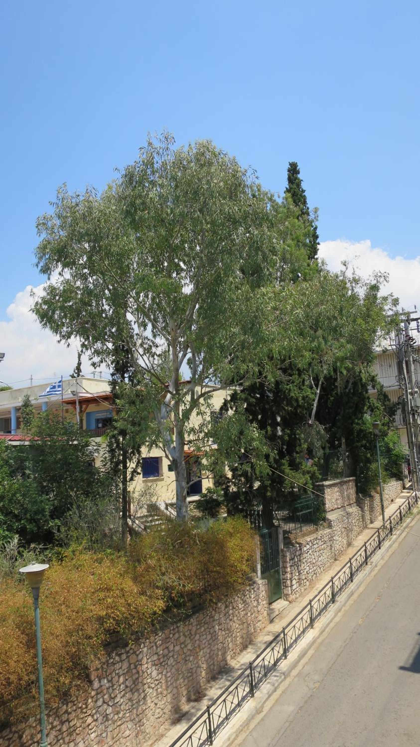 Modern apartment near Acropolis peaceful location.