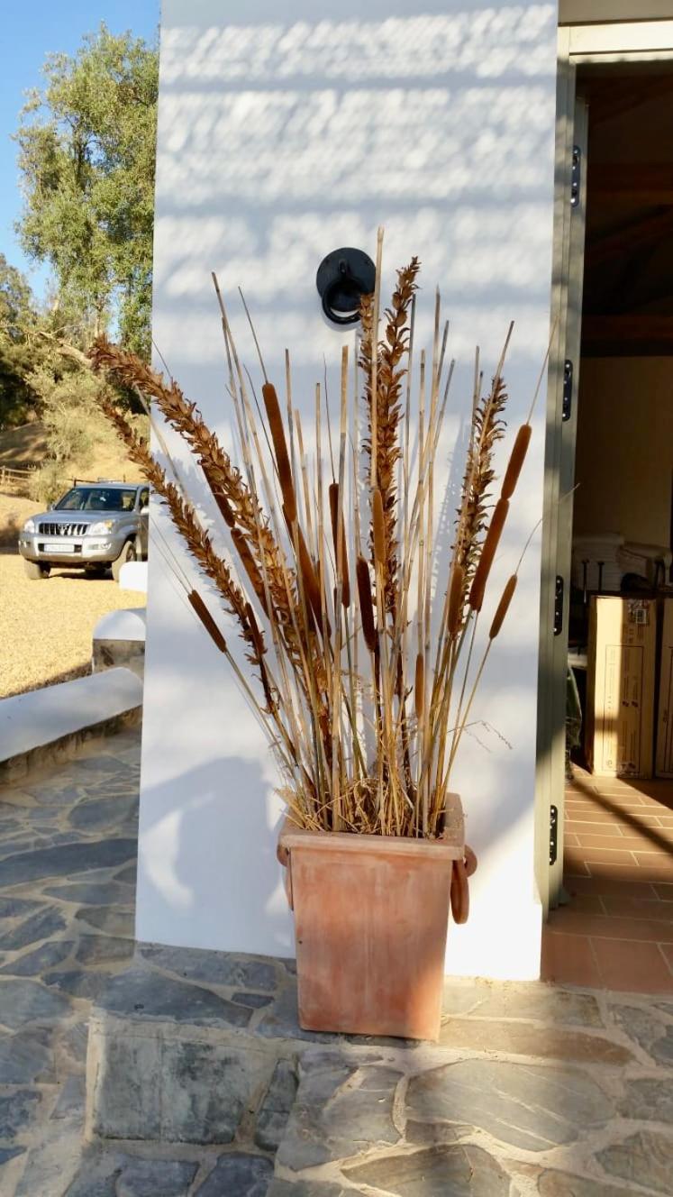 Apartamento para pareja, Finca Contrabando. Sanlucar del Guadiana