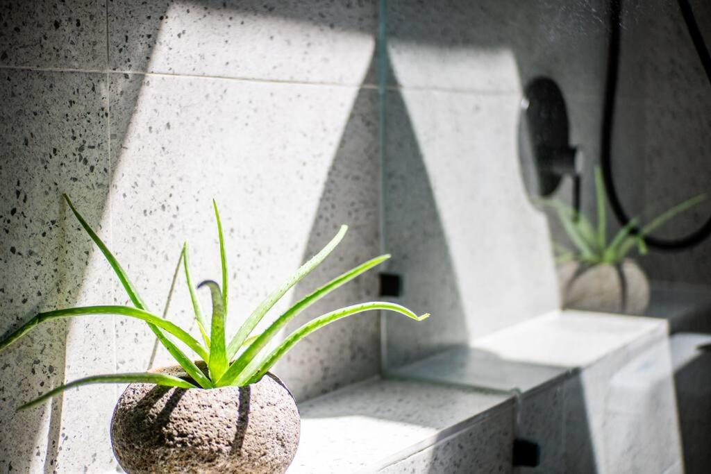 THE STONE NEST CANGGU view 2
