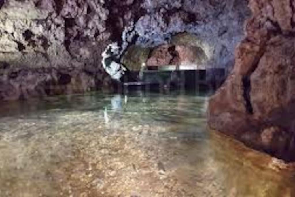 Photo 22